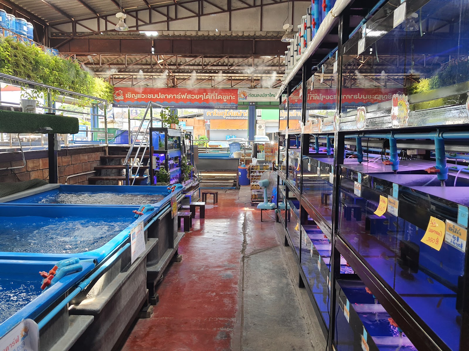 Shogun Fish Farm Fish Store