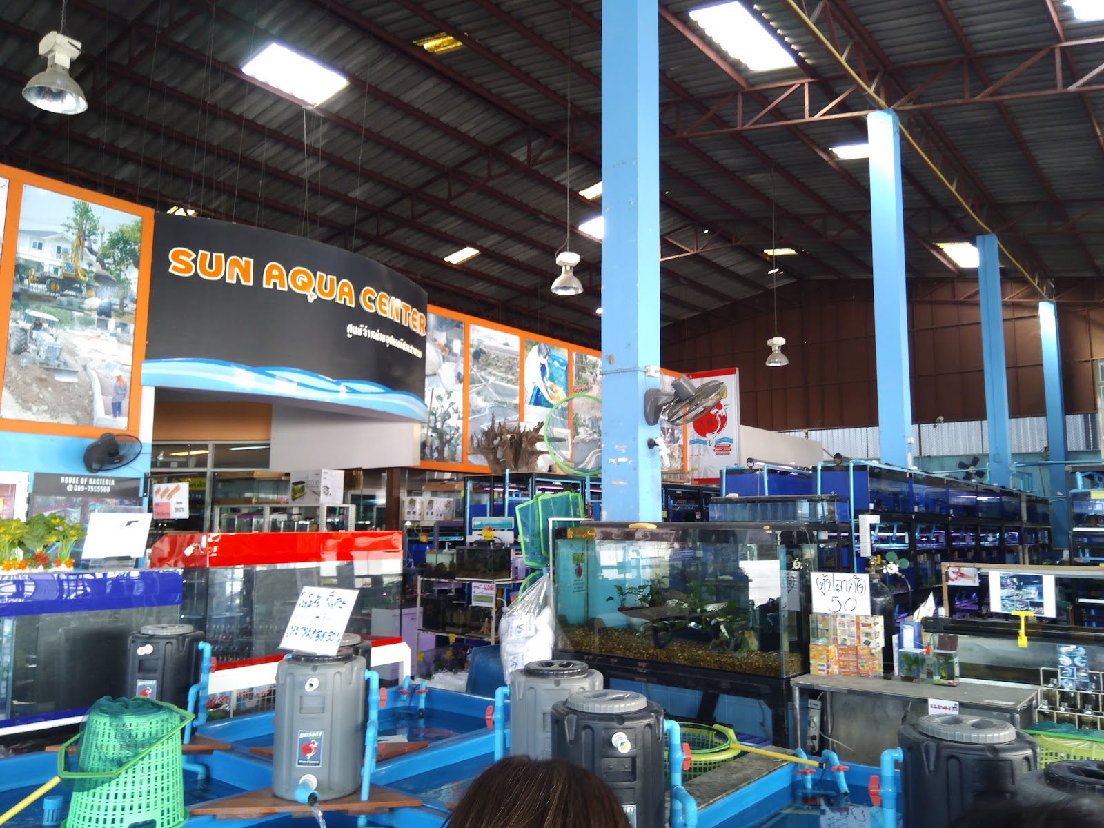 Shogun Fish Farm Fish Store