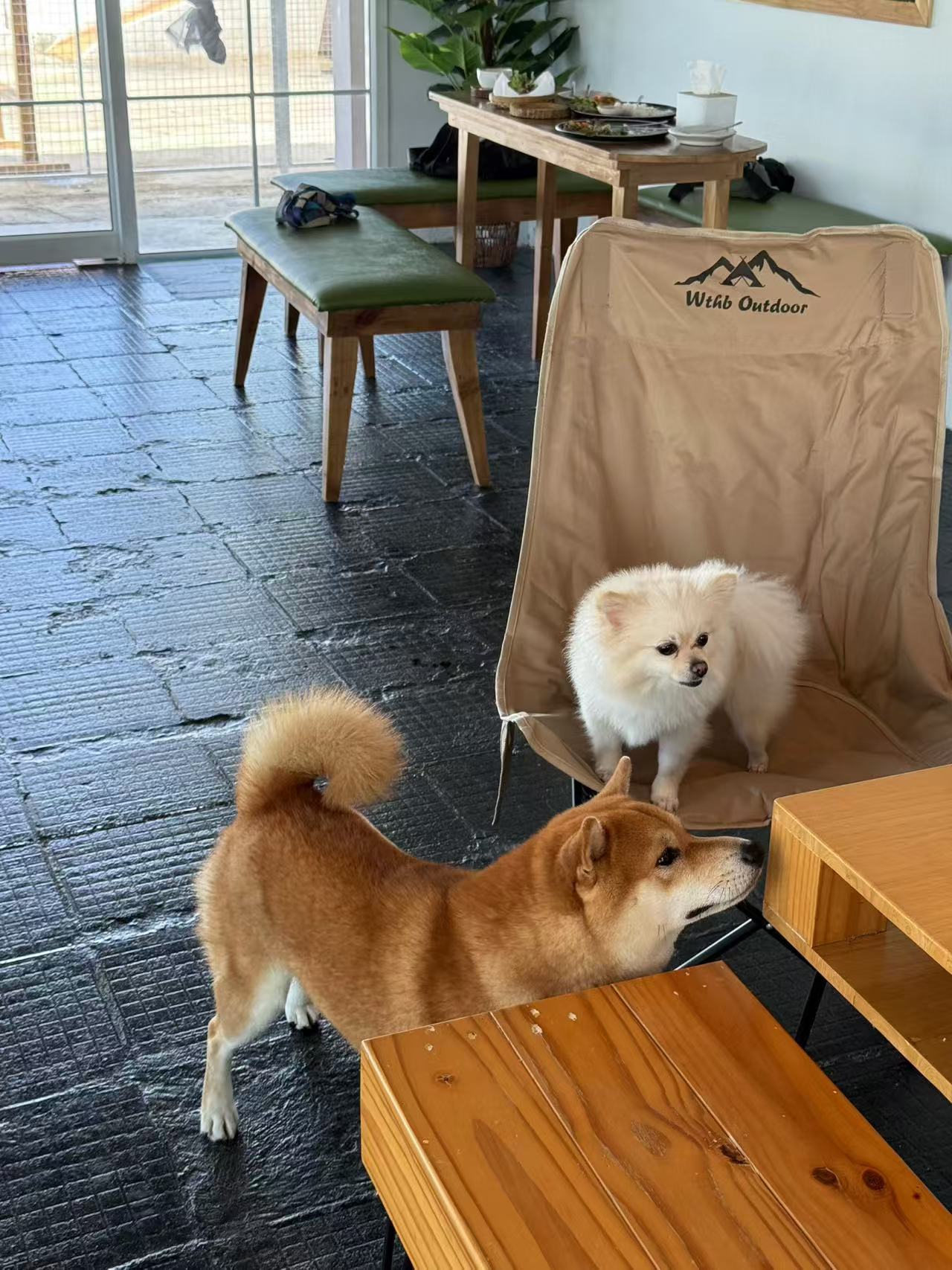 Starbarks Cafe and Playpark