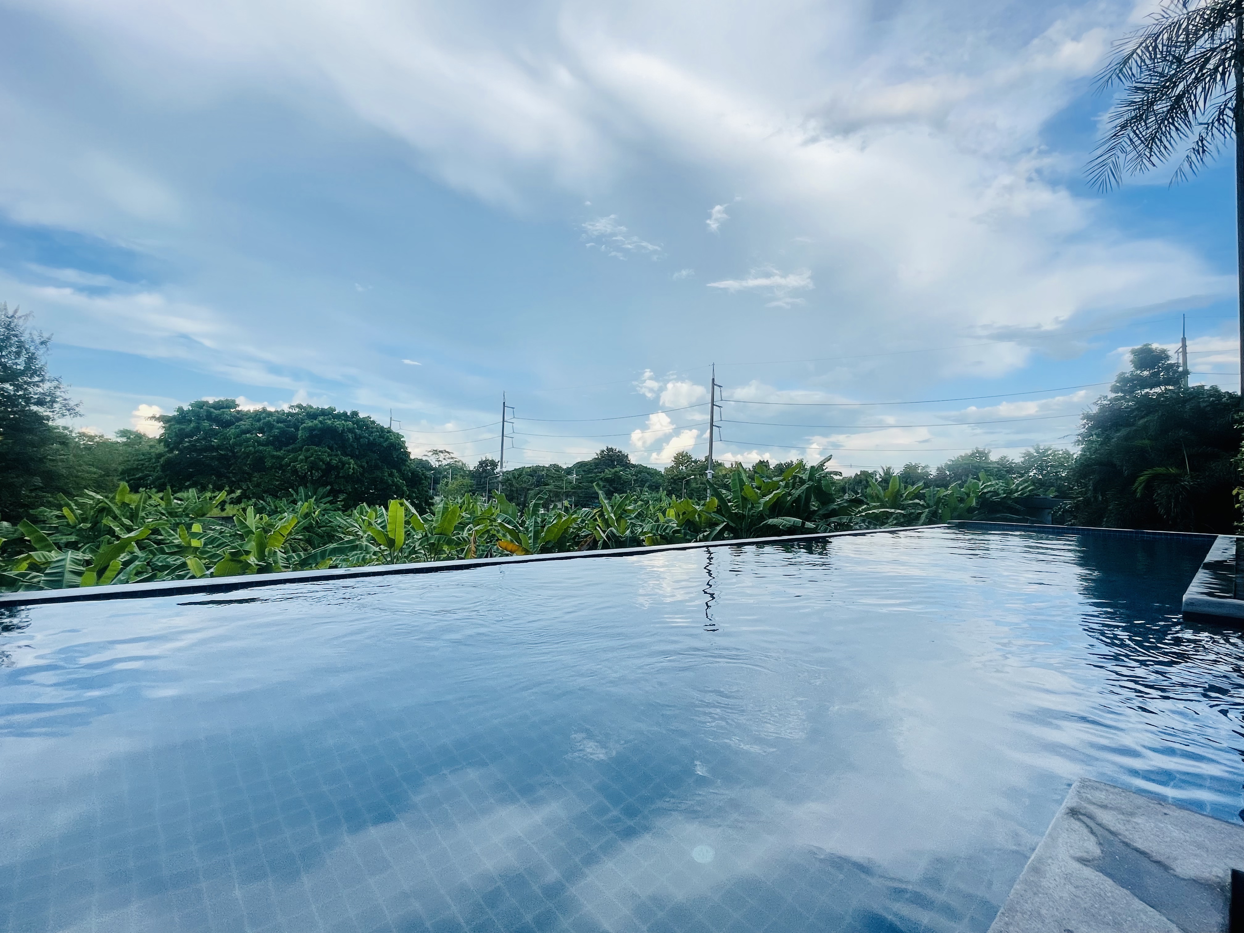 The Starhill Condo