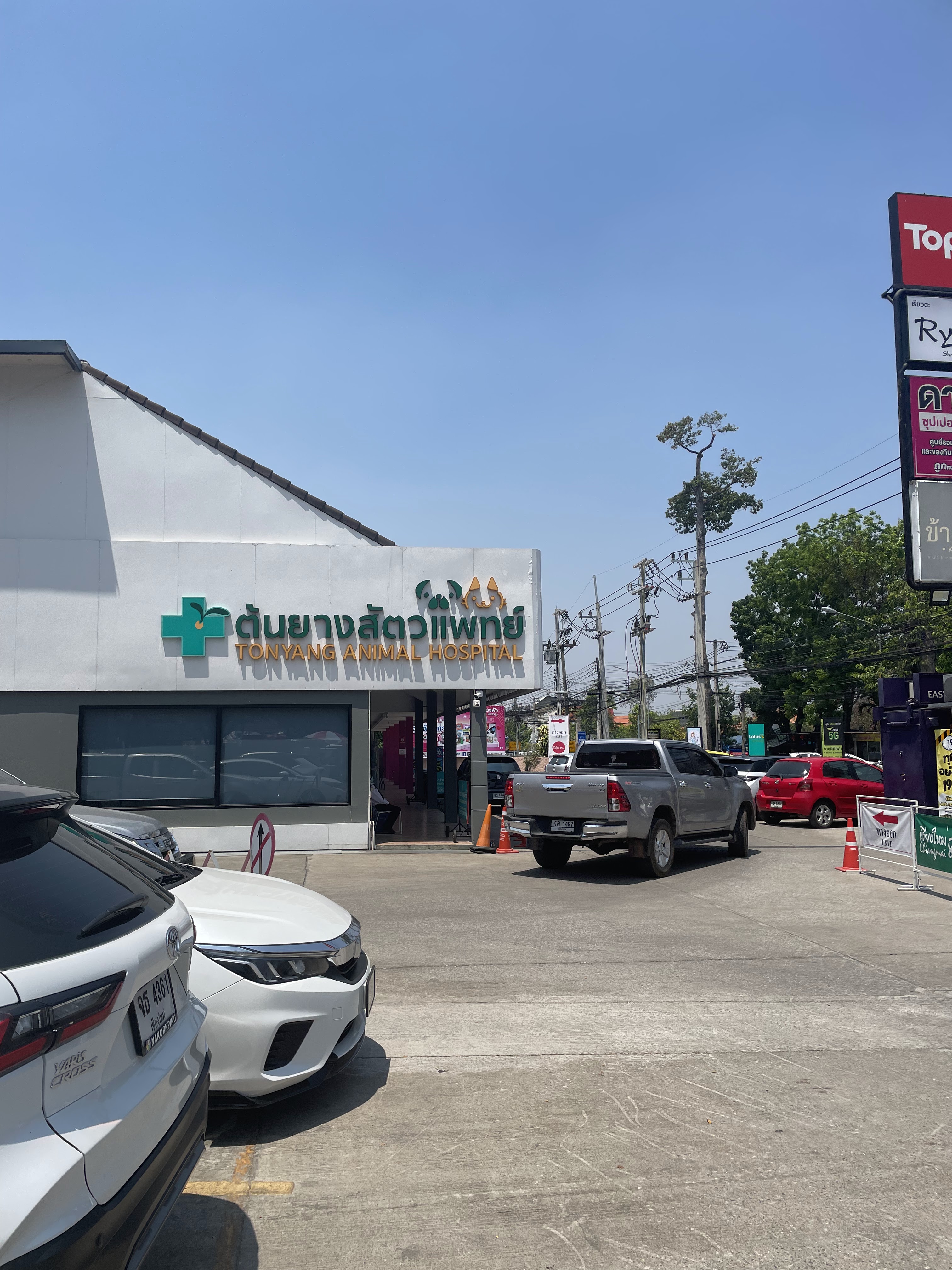Tonyang Animal Hospital