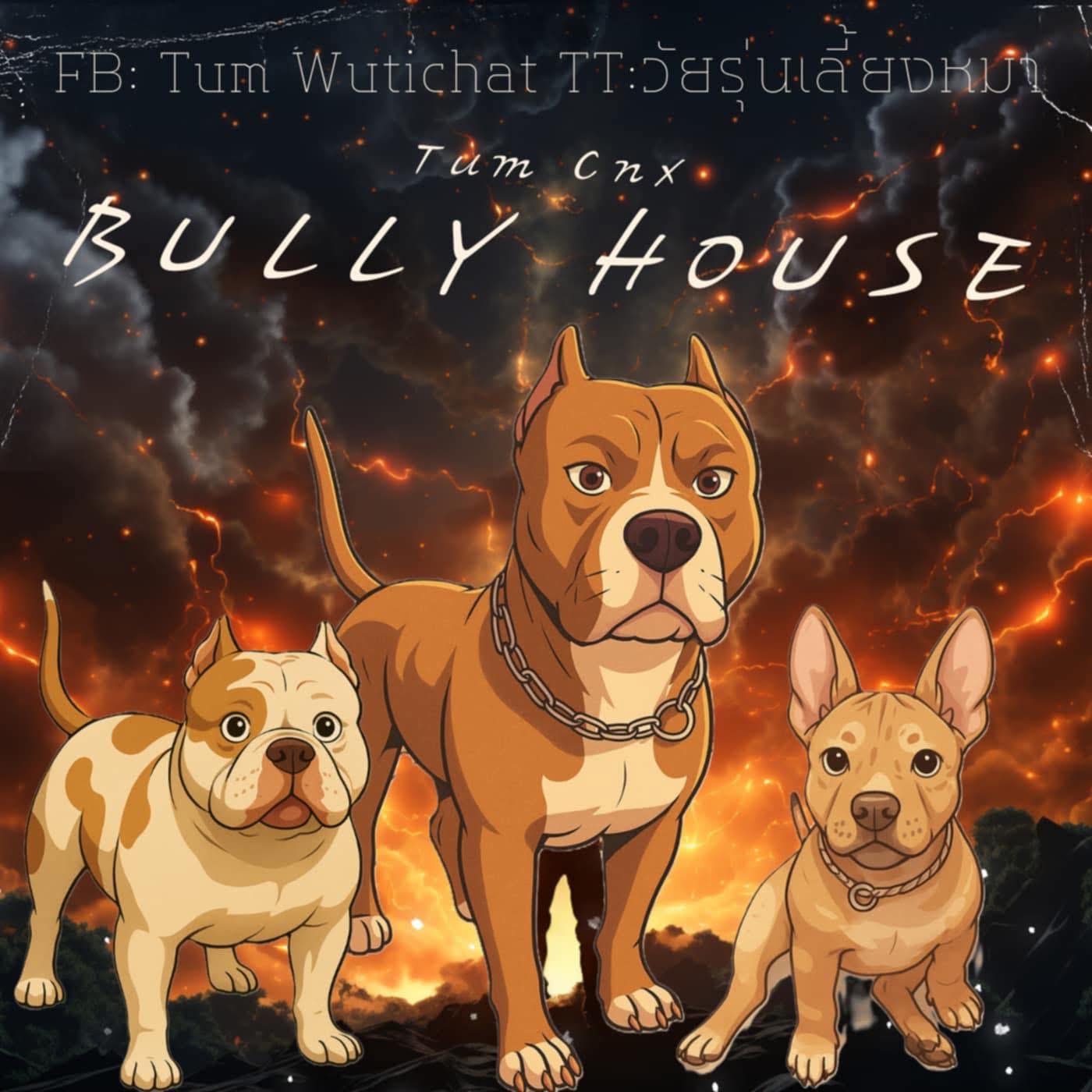Tum CNX Bully house