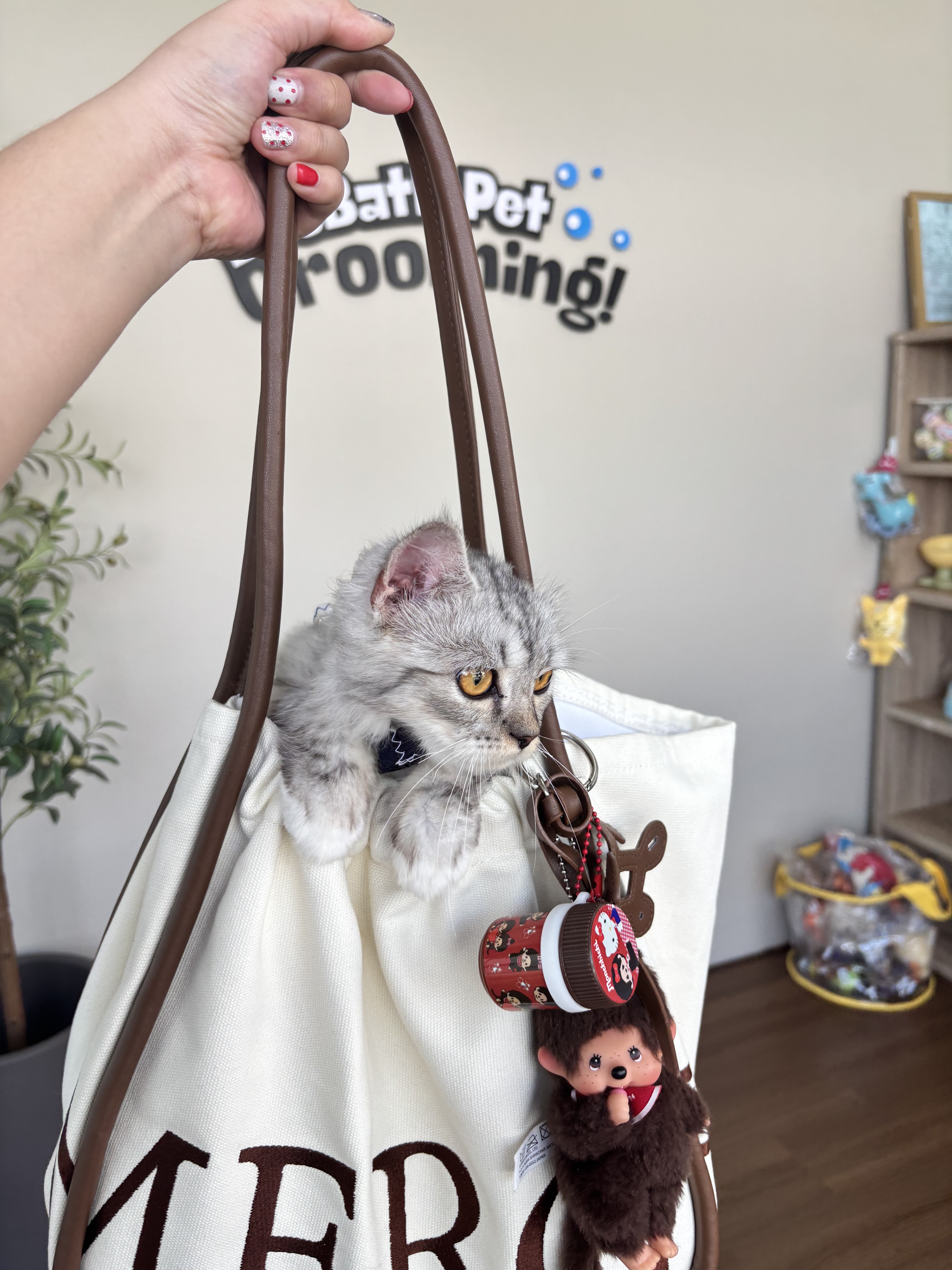 BooBath Pet Grooming