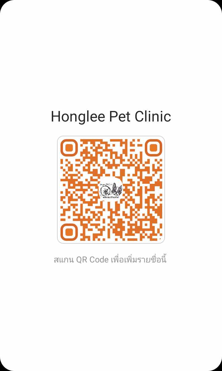 Honglee pet clinic