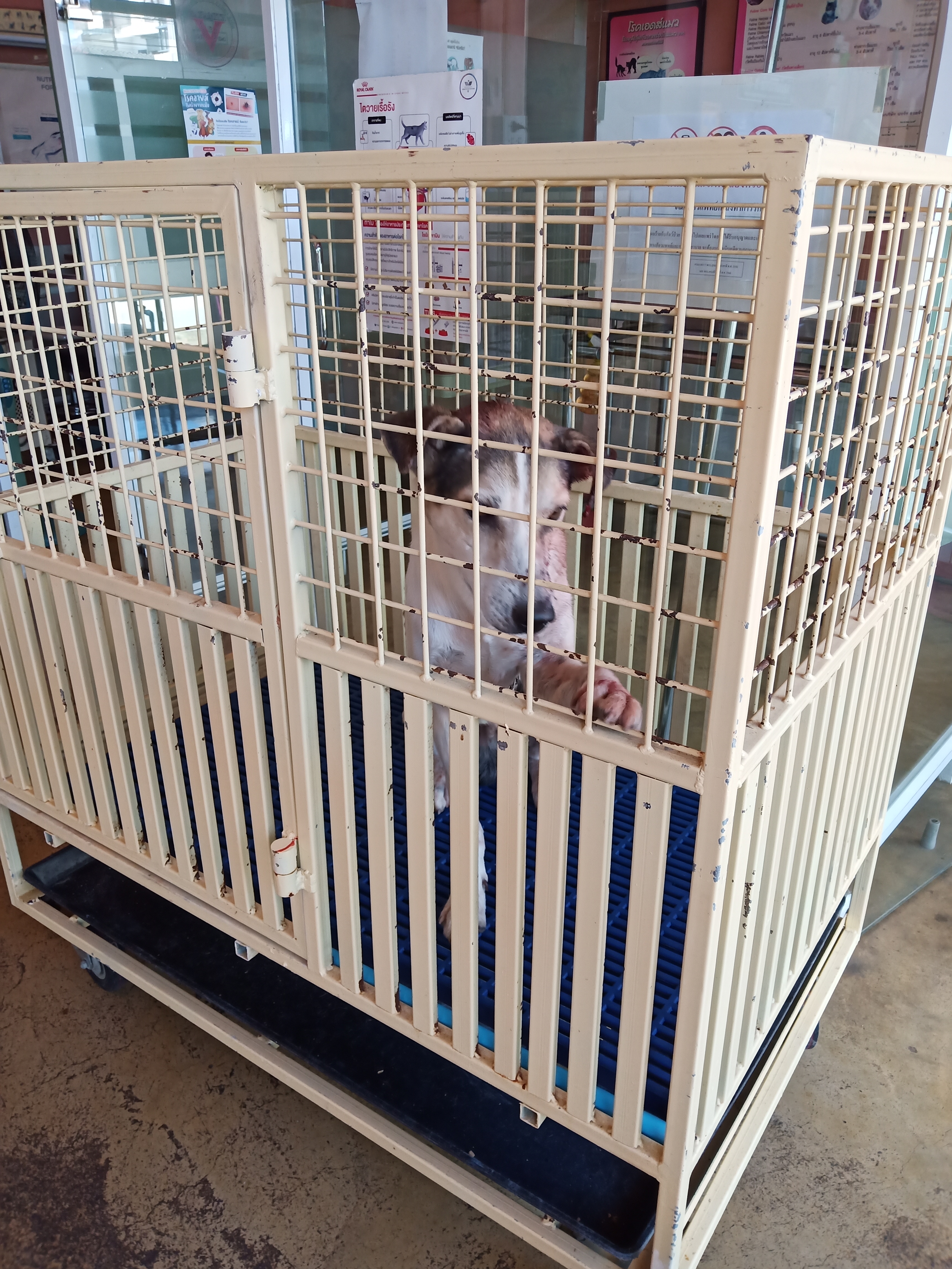 Sahamitr Animal hospital