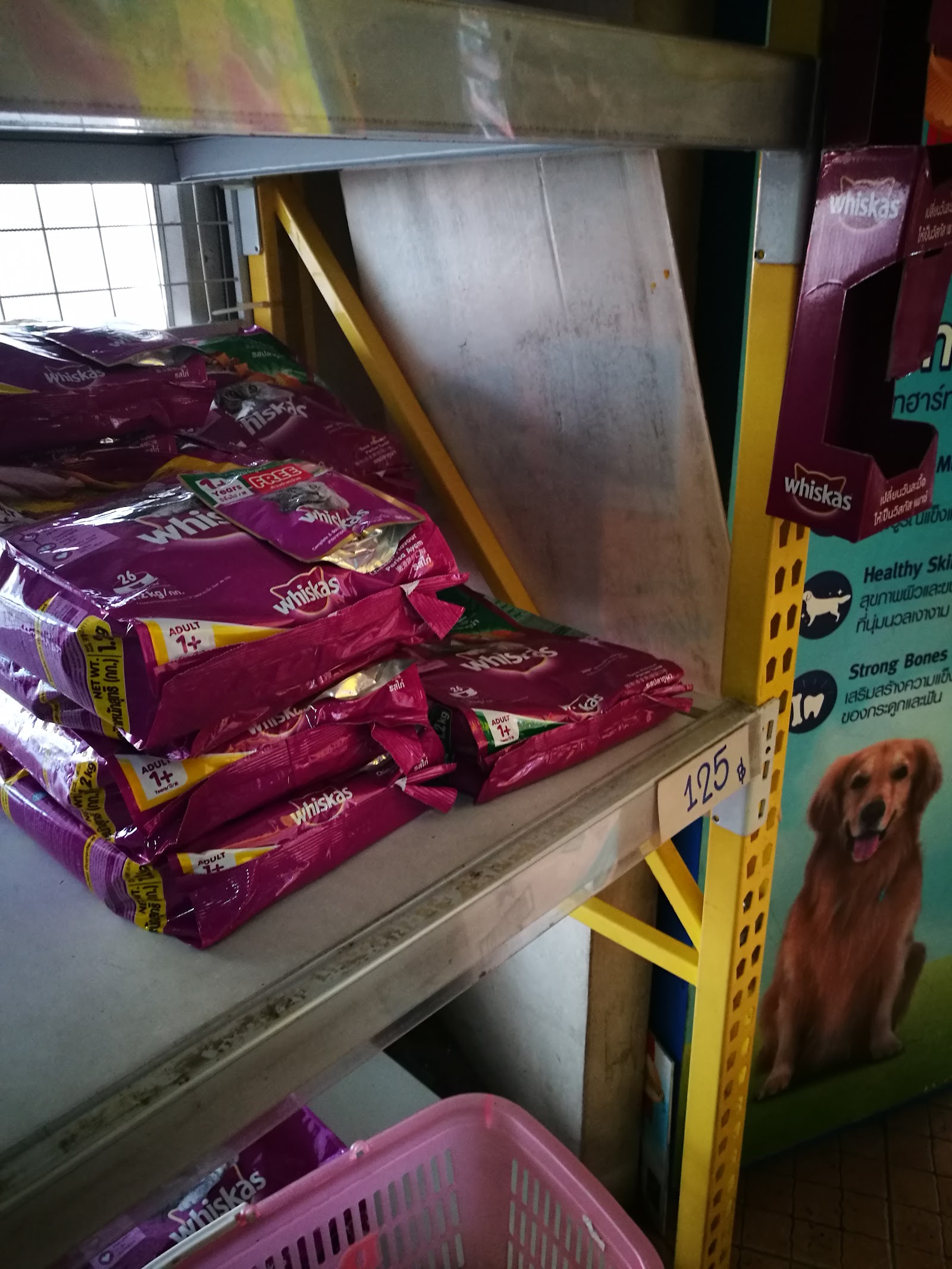 Dog Enjoy