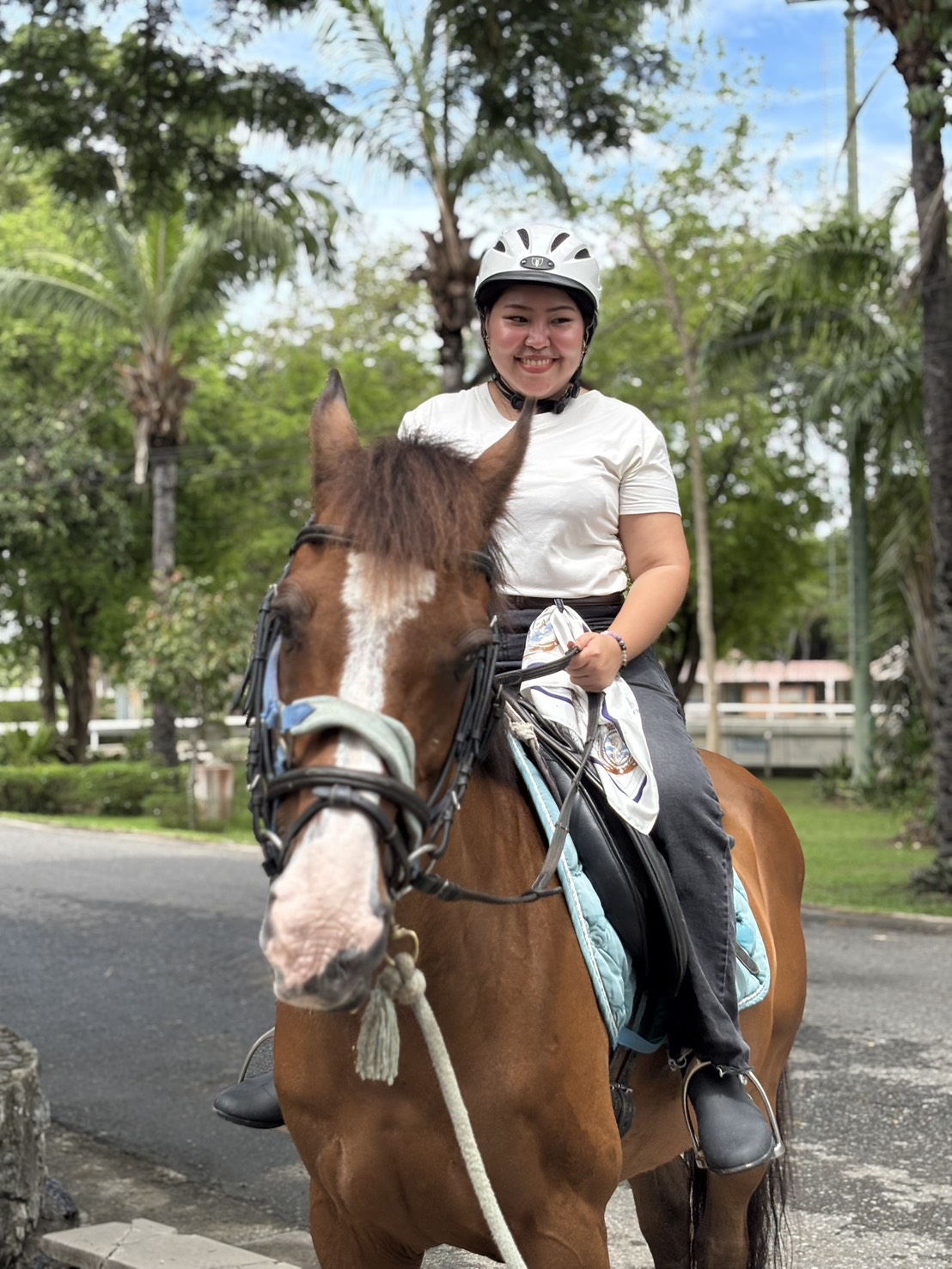 International Riding School at Horseshoe Point