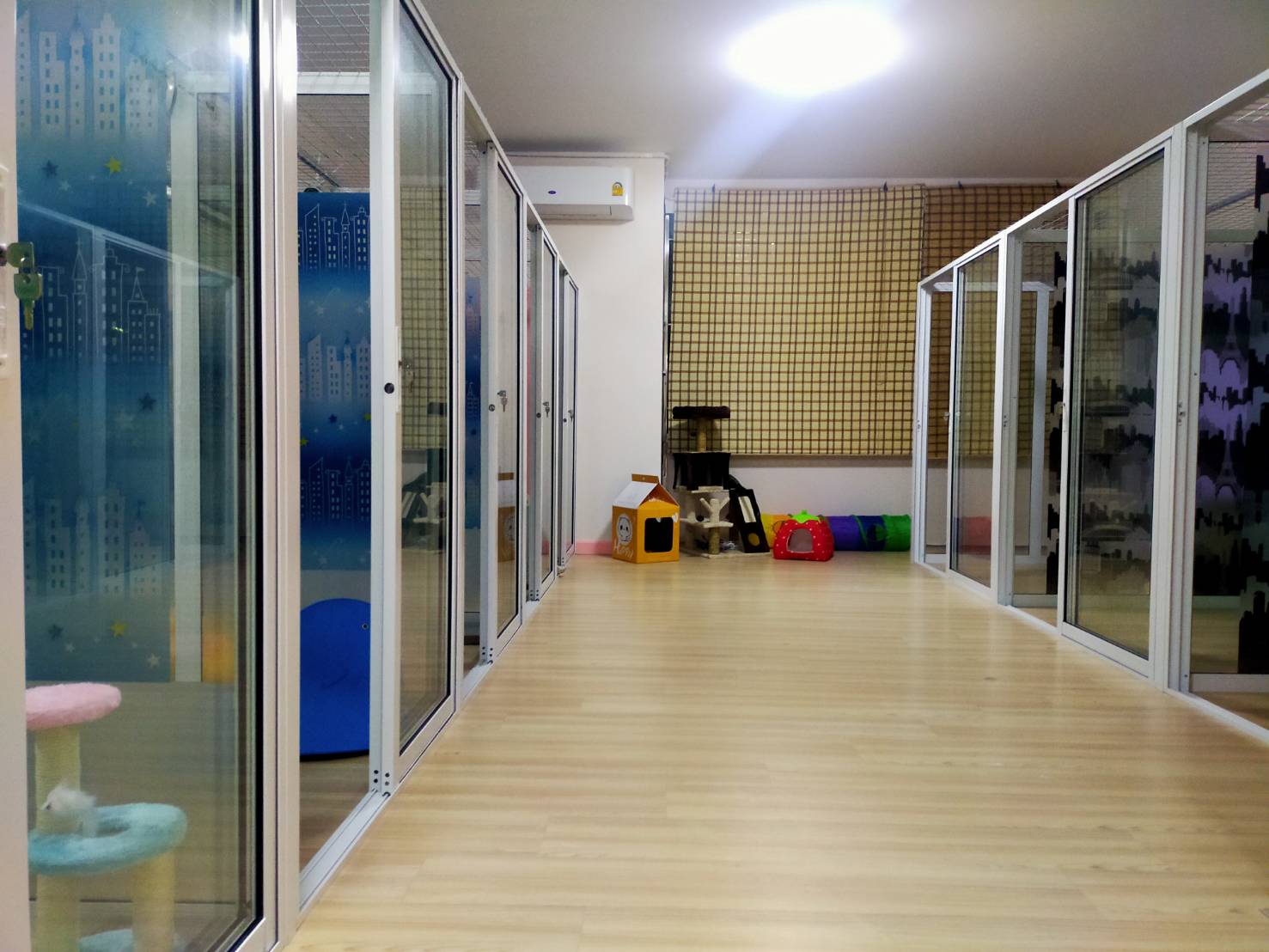 Meow cattery pattaya