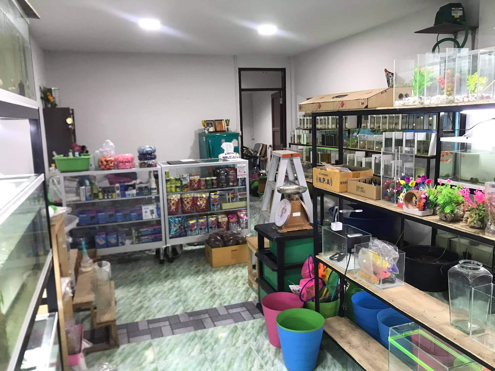 Nnk Betta Shop