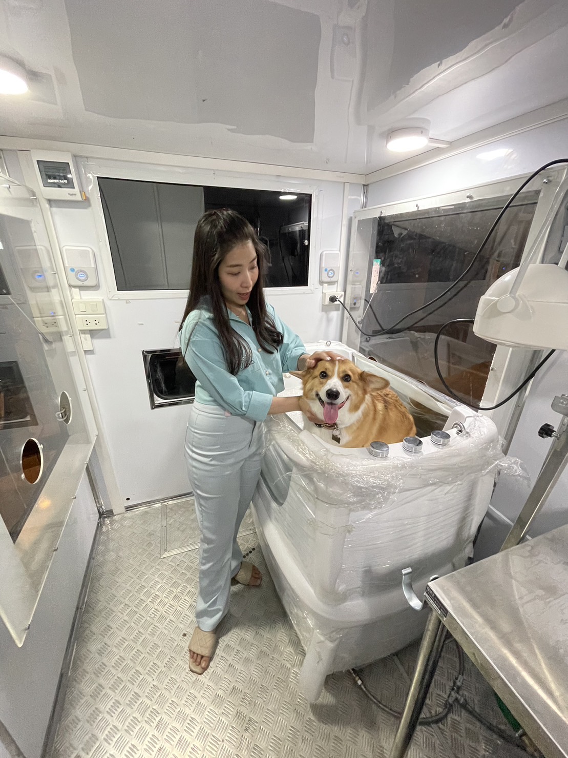 Pet de Bath (Terminal21 ) Grooming & Spa