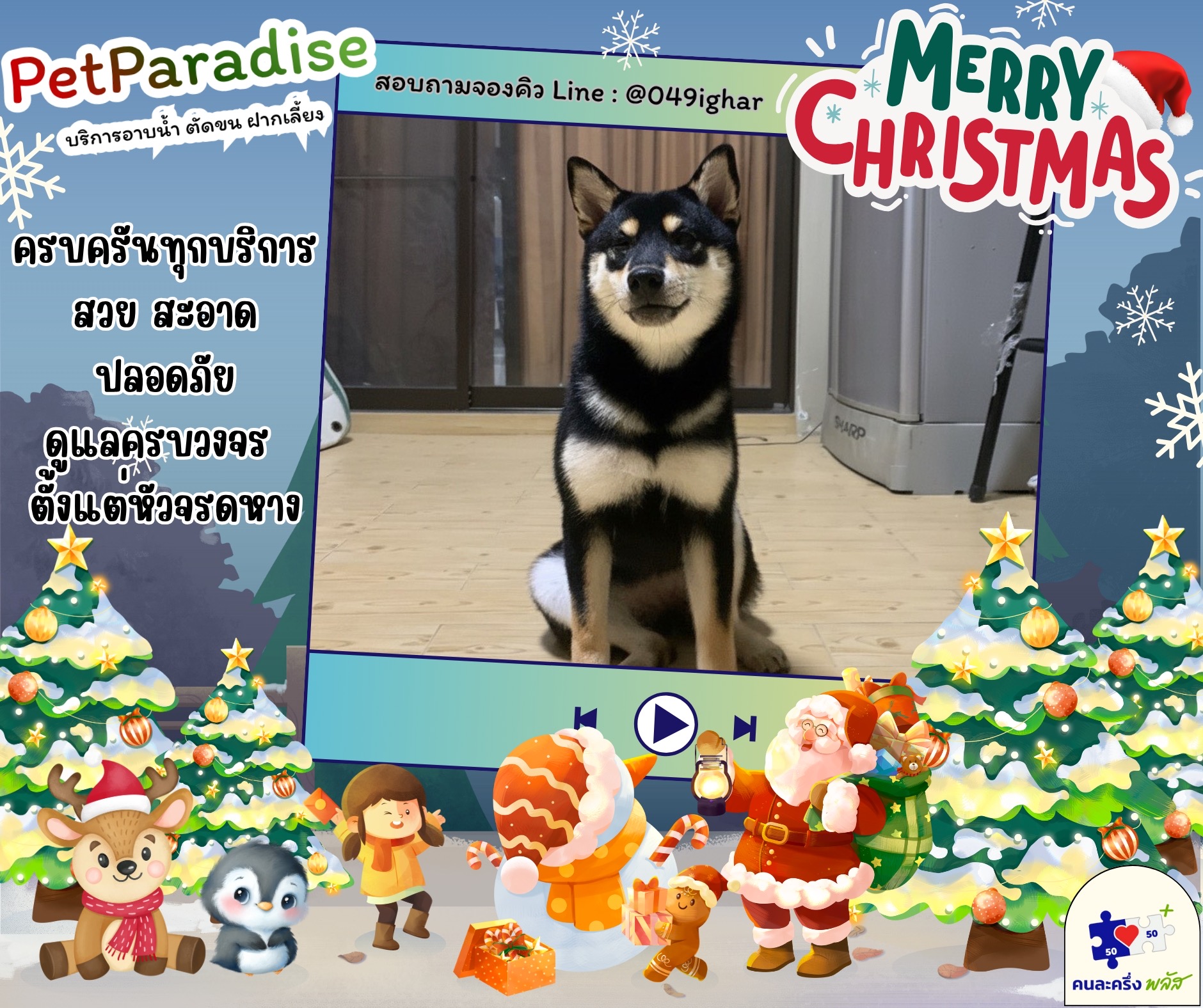 Pet Paradise
