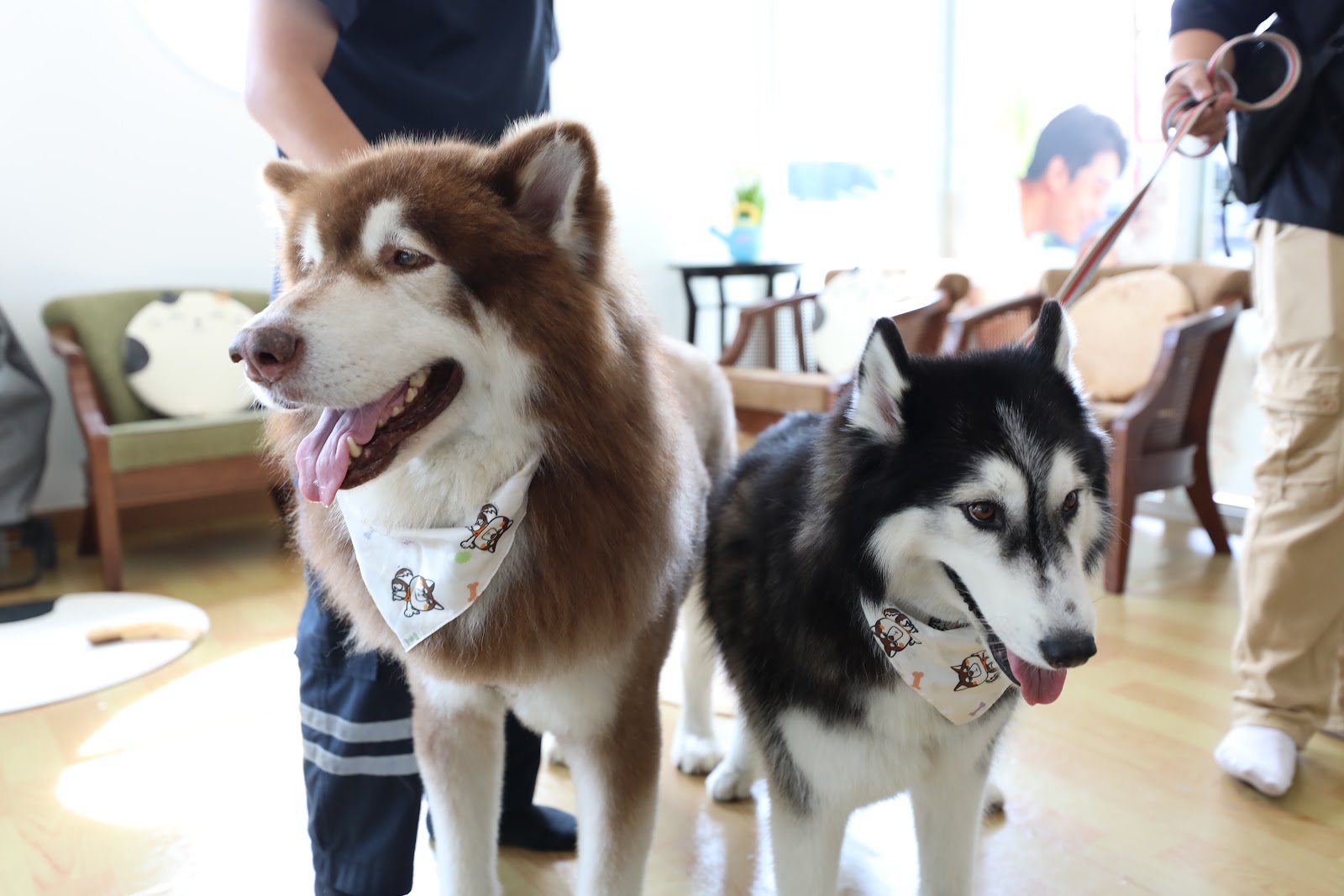 PTS Pet Friendly Zone