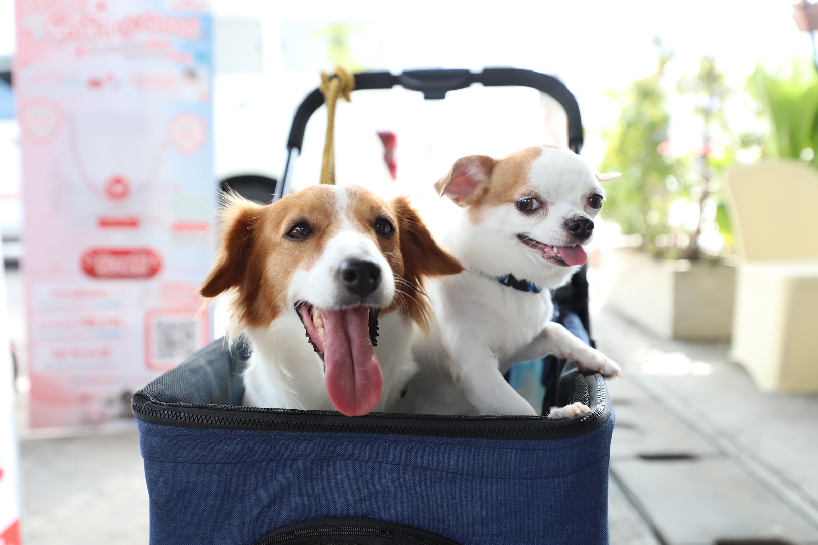 PTS Pet Friendly Zone
