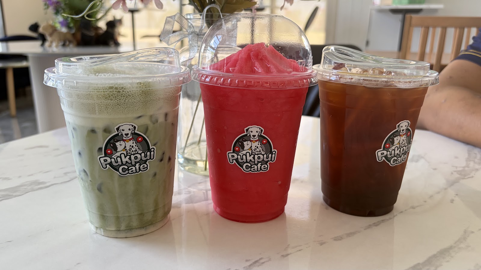 Puk Pui Cafe & Cat & Dog Hotel