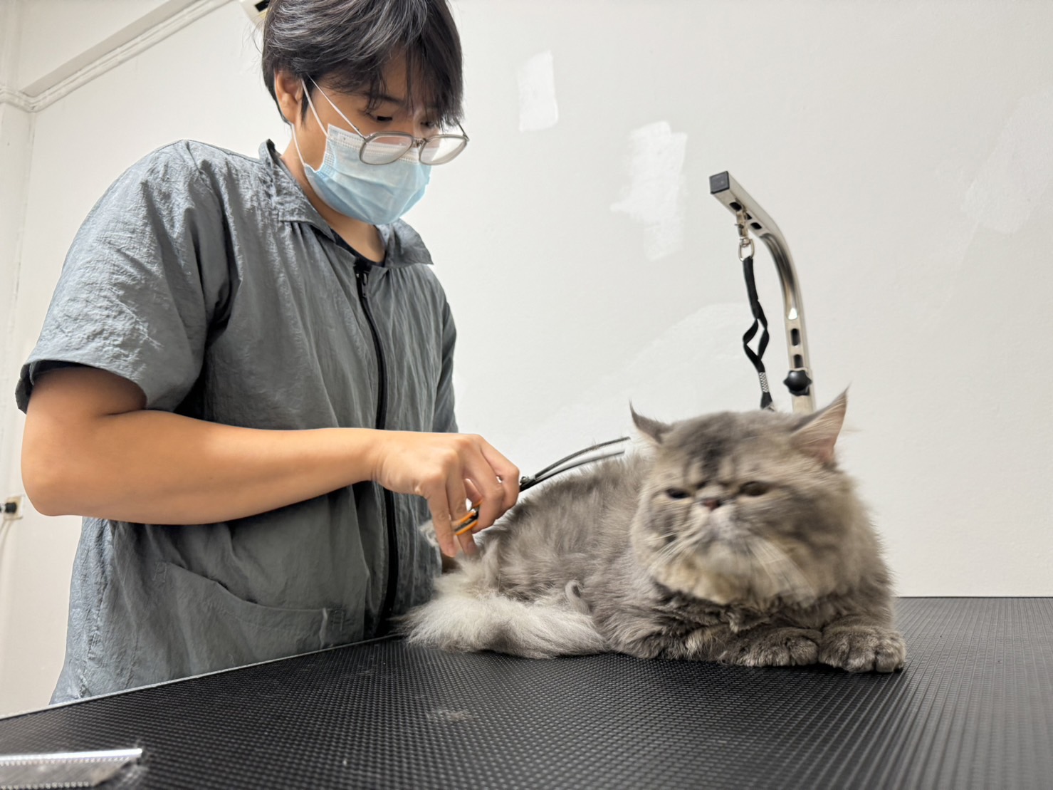 Ricmo pet grooming