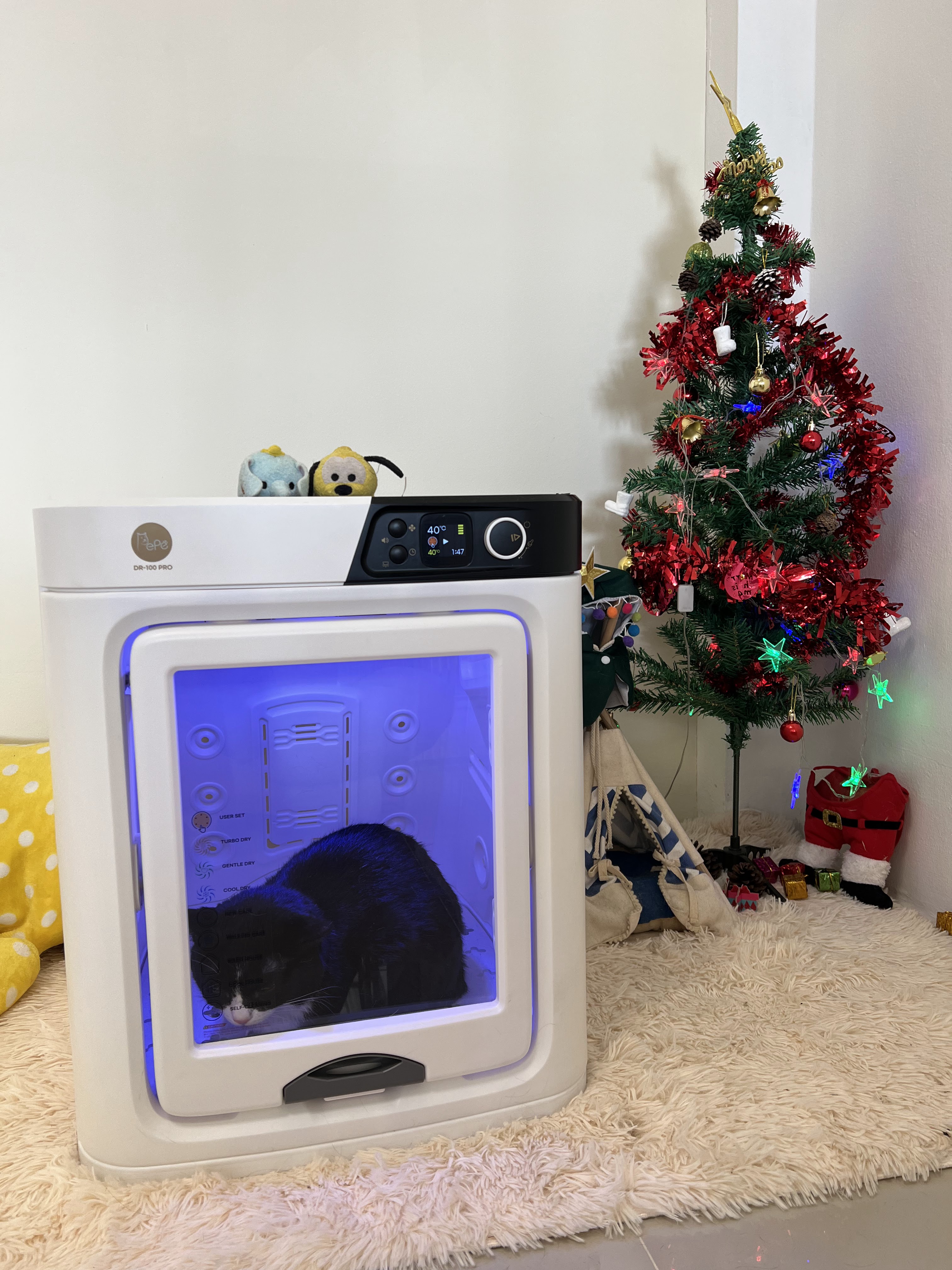 Ricmo pet grooming