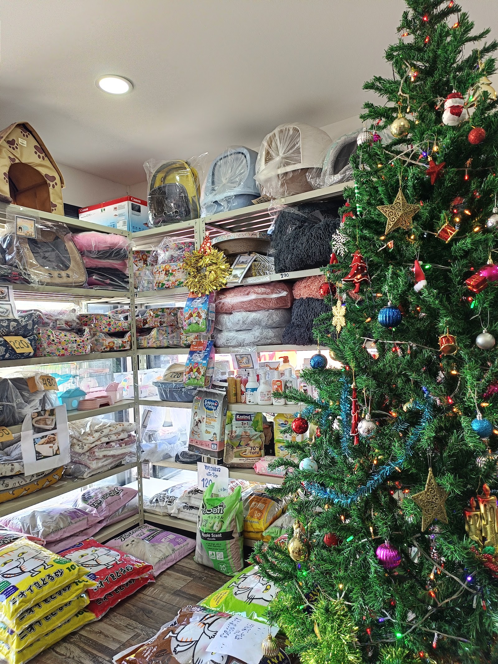 Siri Happy Pet Land