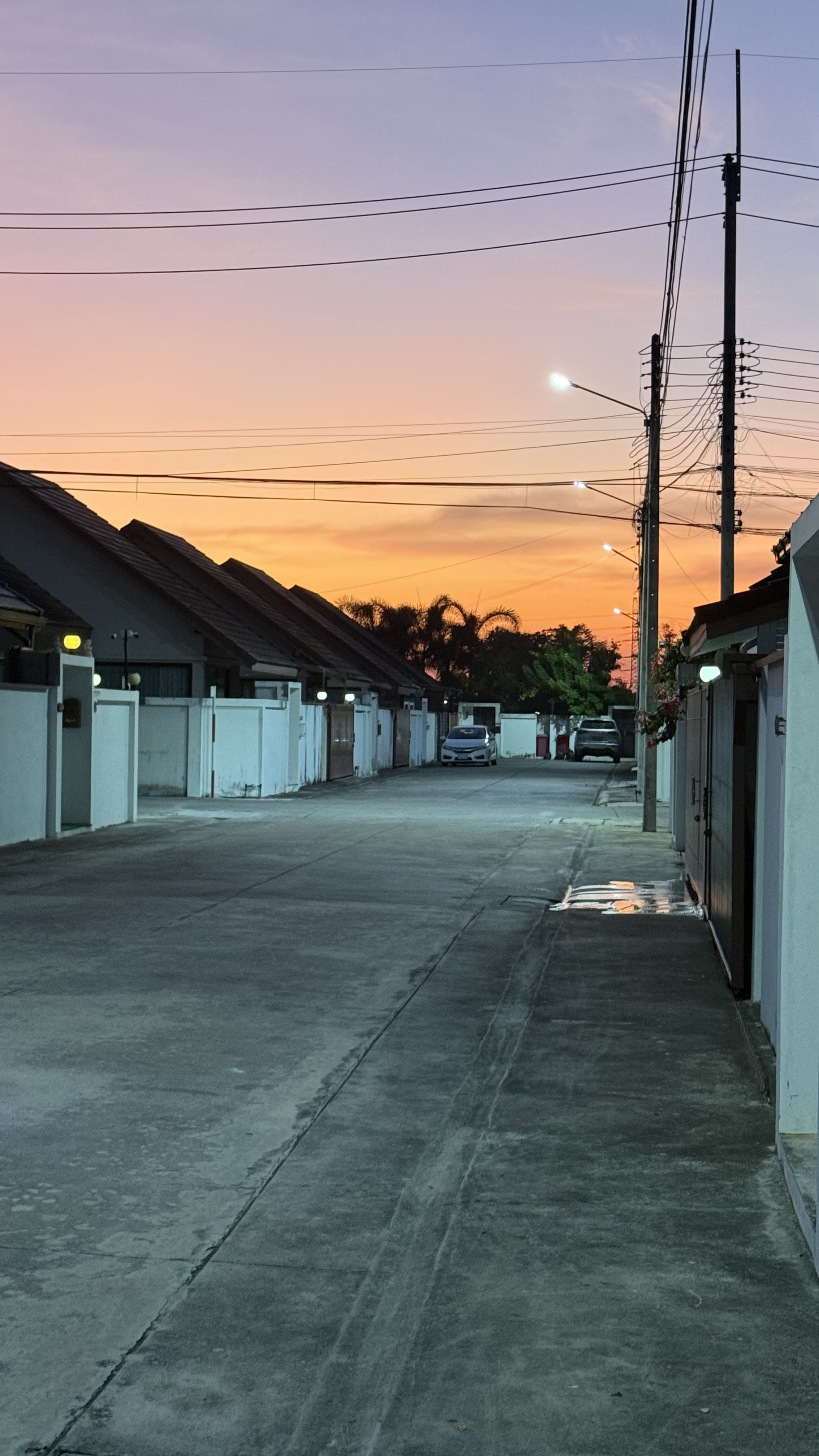 The Maple Pattaya