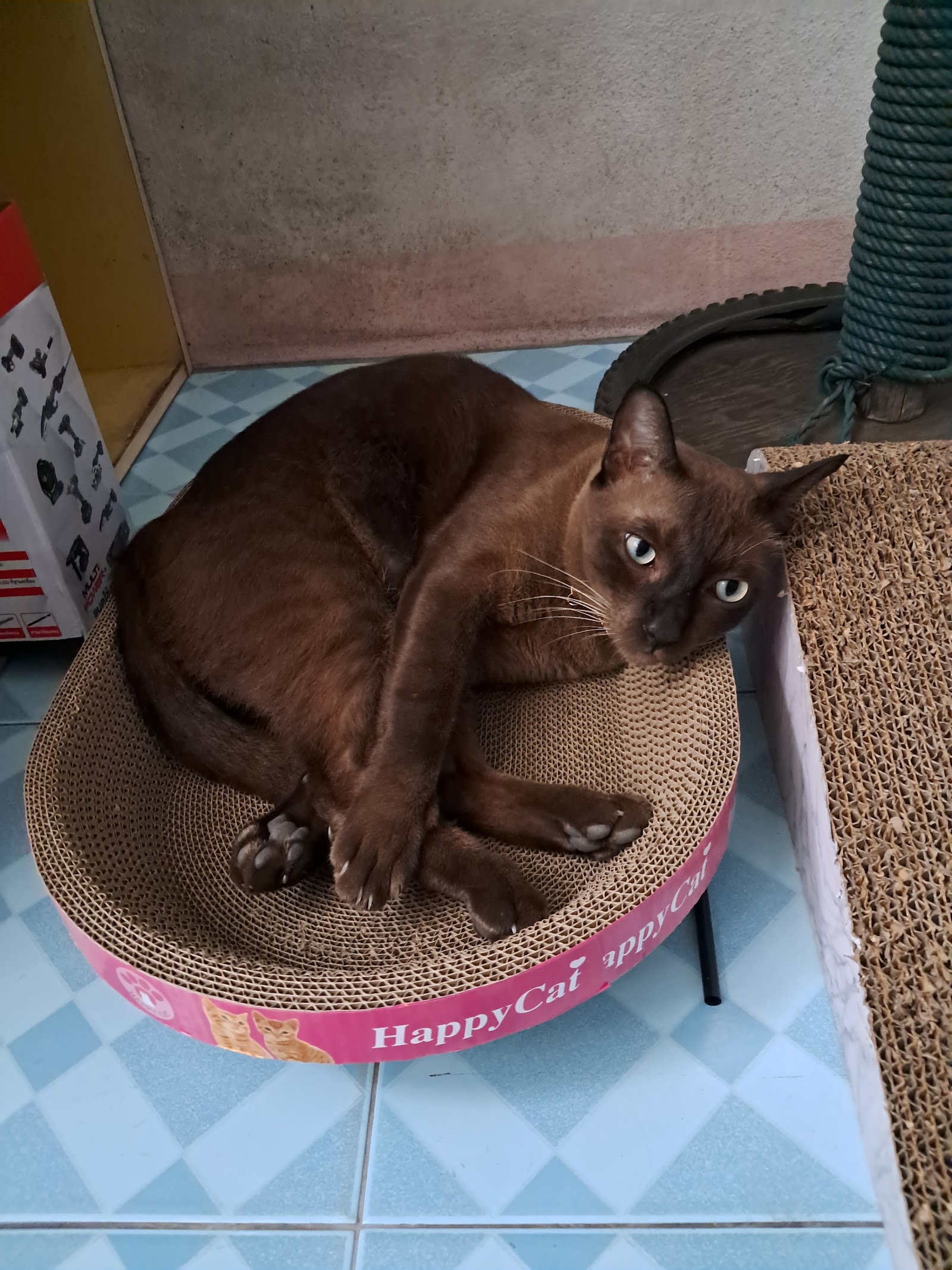 Vet-Pro Veterinary Clinic