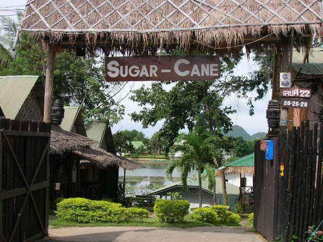 Sugarcane Guesthouse 1