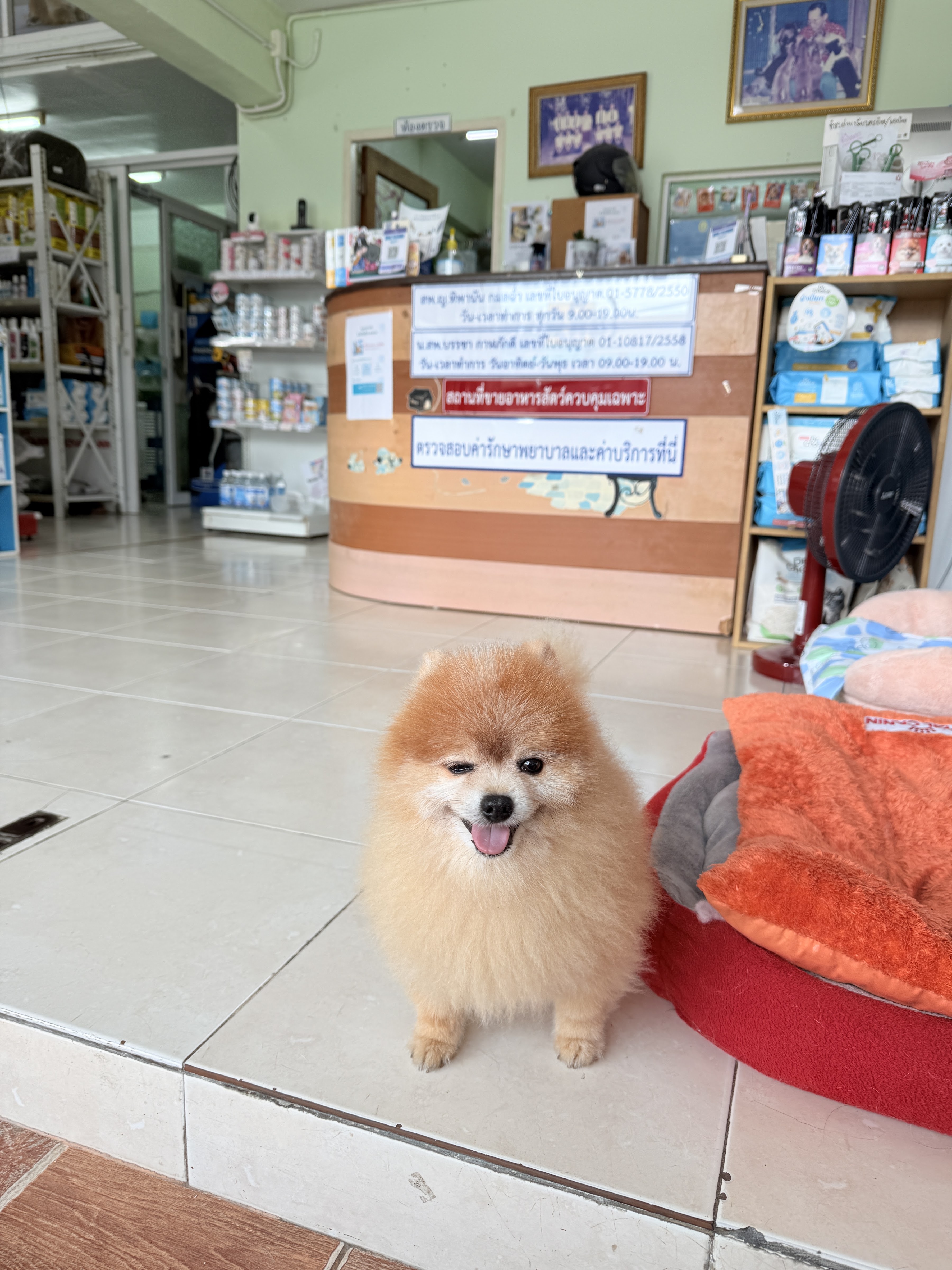Pet Home Veterinary (Bang Bua Thong)
