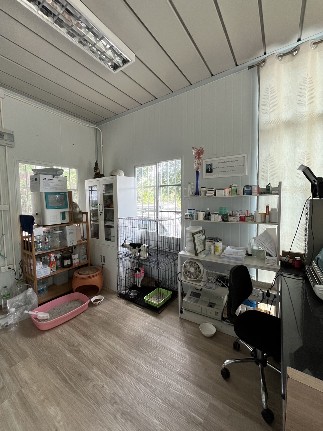 Maji Veterinarian