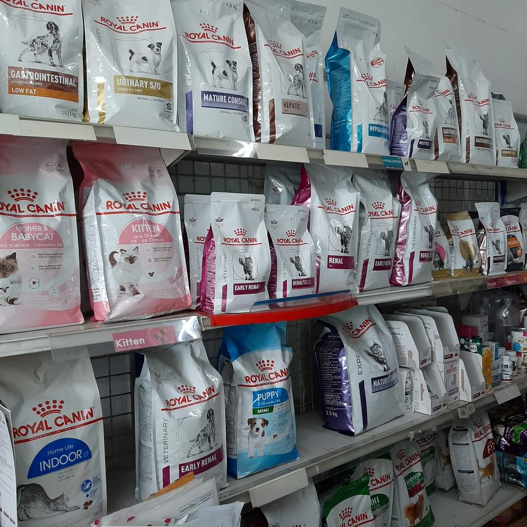 Non Animal Clinic Bang Bua Thong Nonthaburi