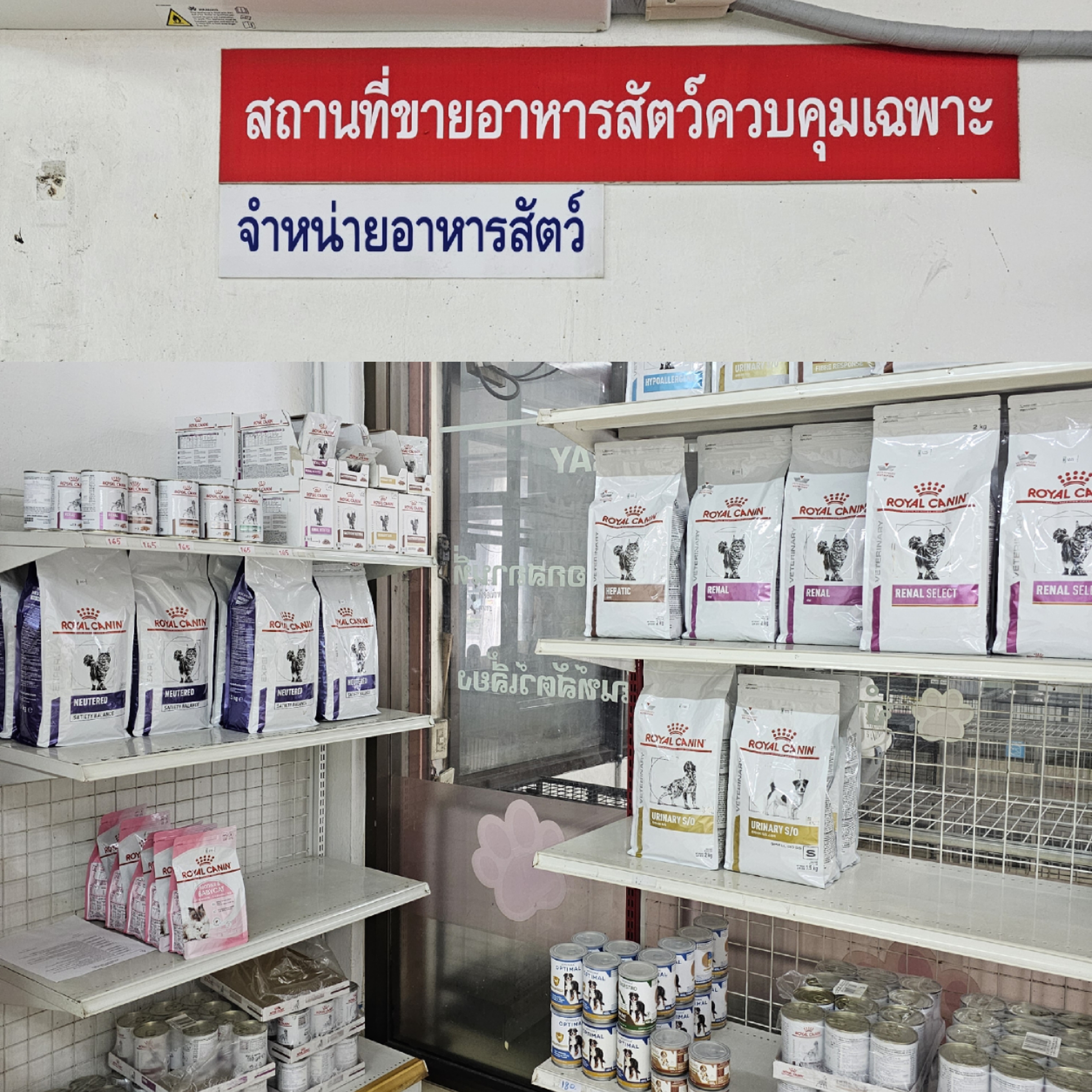 Sai Noi Veterinarian