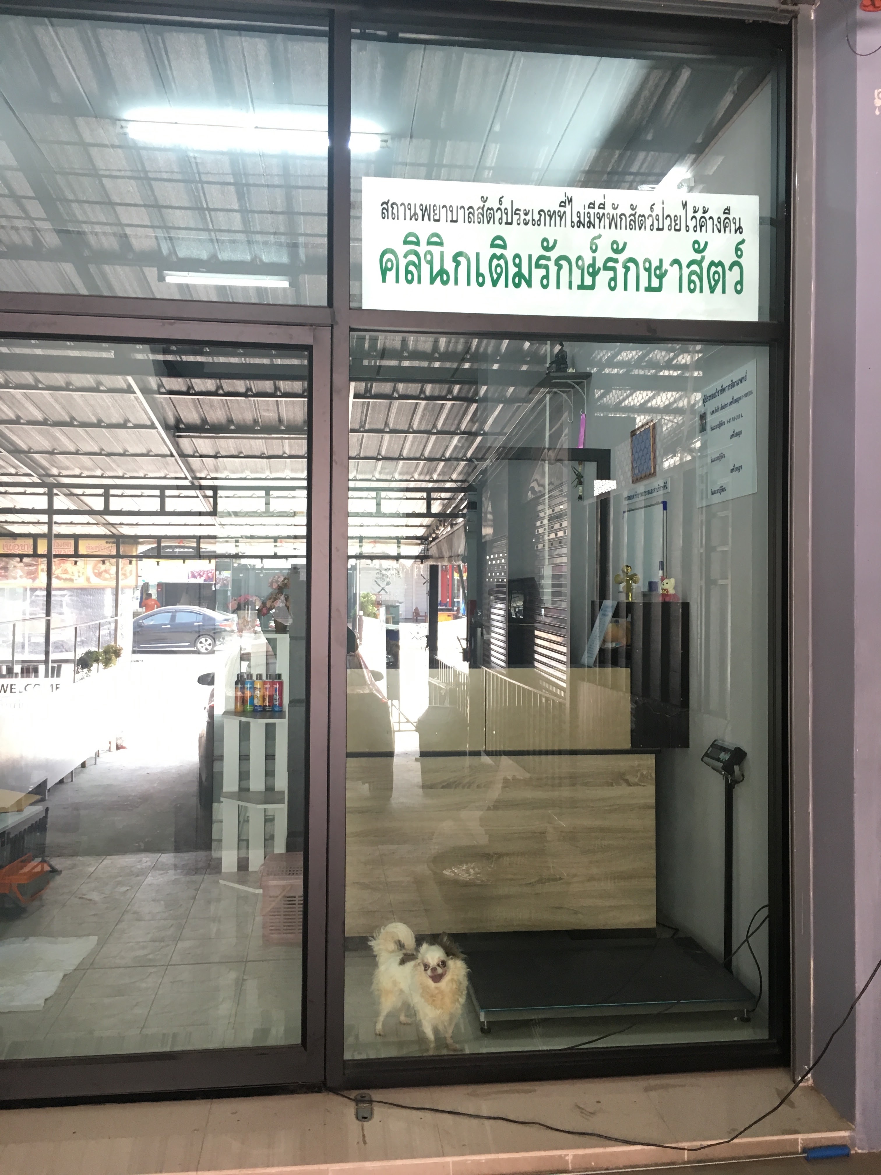 Clinic Treat all kinds of animals