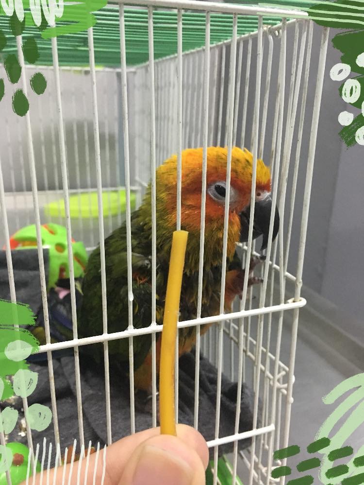 Clinic Treat all kinds of animals