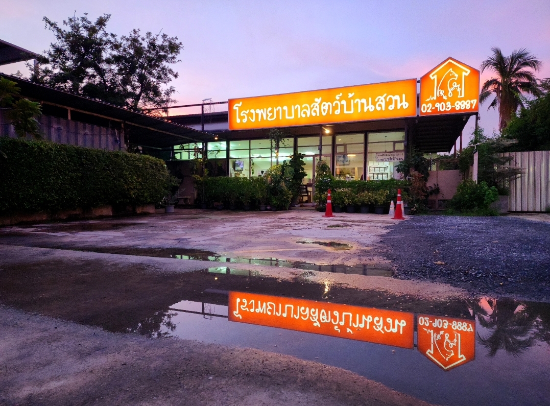 Ban Suan Animal Hospital