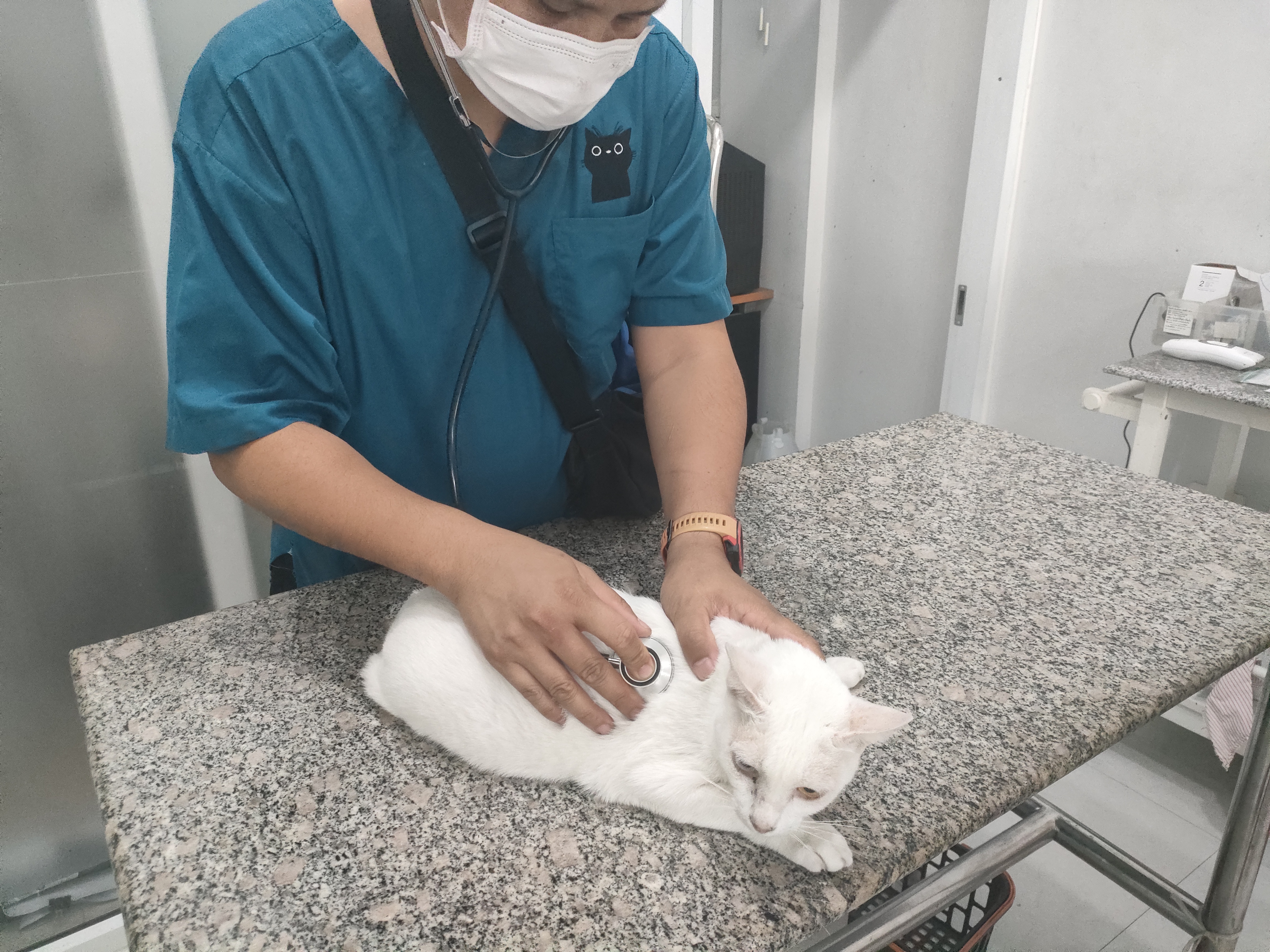 Determined to protect animals