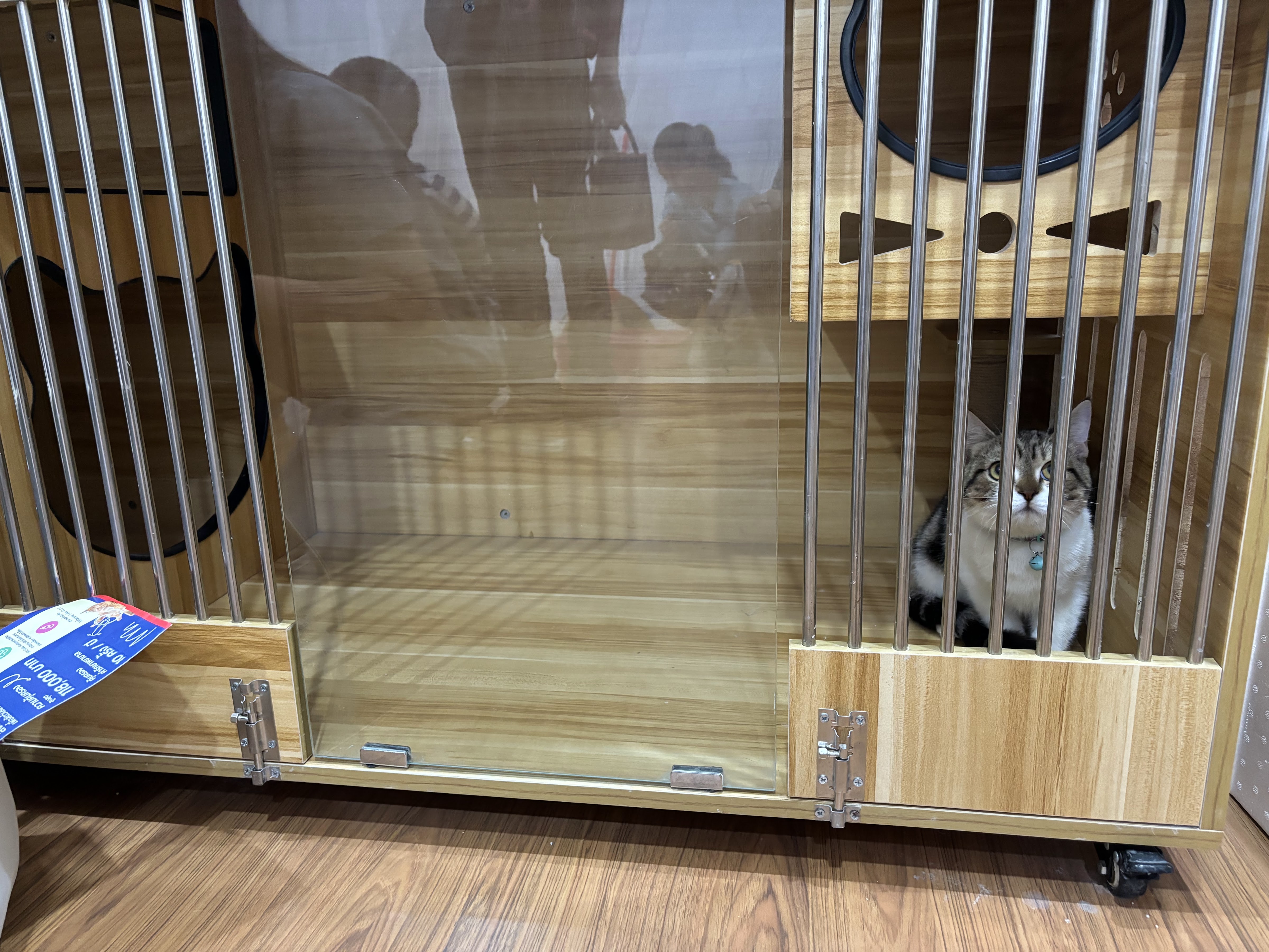 Srisaman Pet Animal Treatment Center