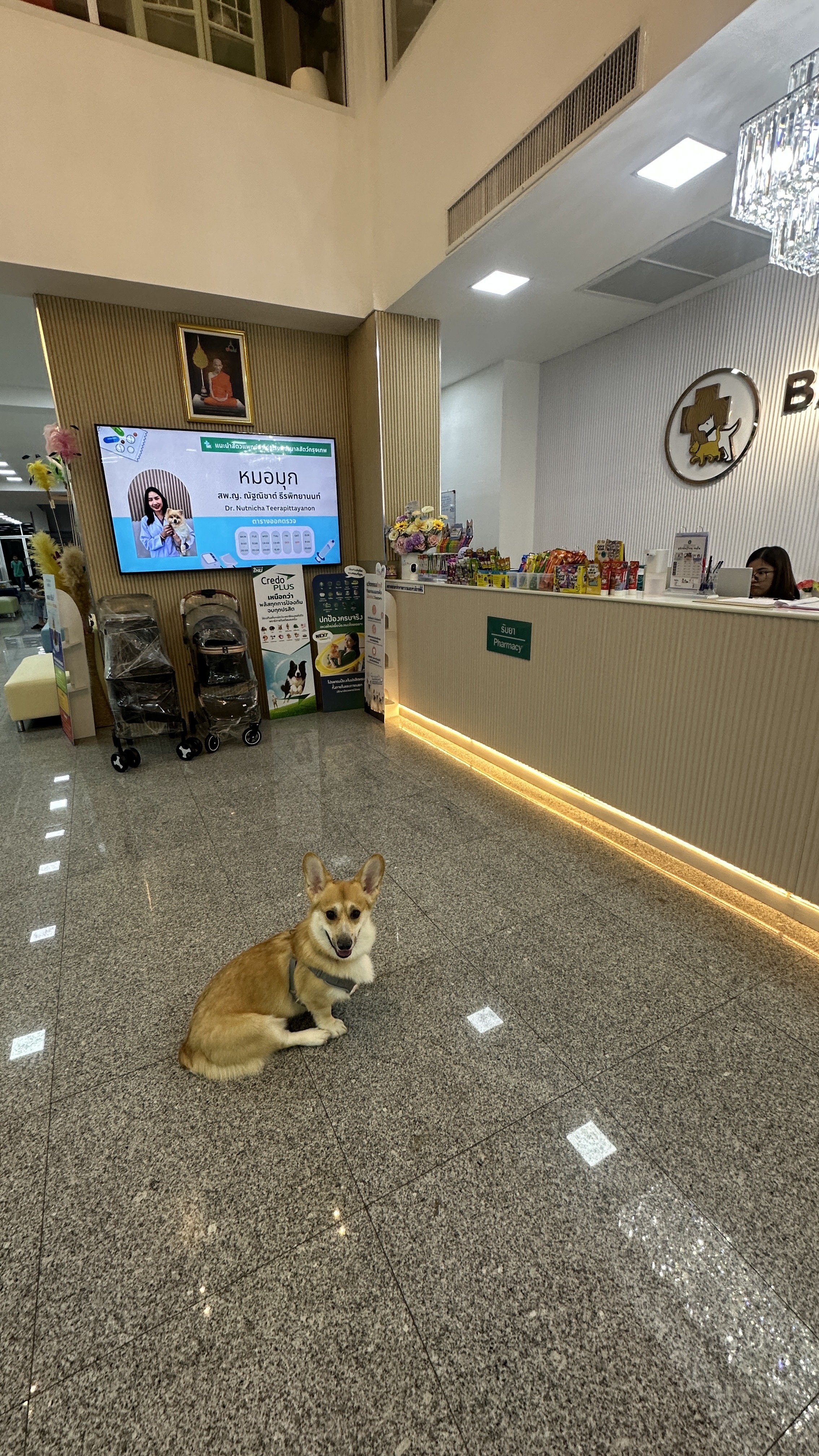 Bangkok Animal Hospital Kanchanapisek Branch