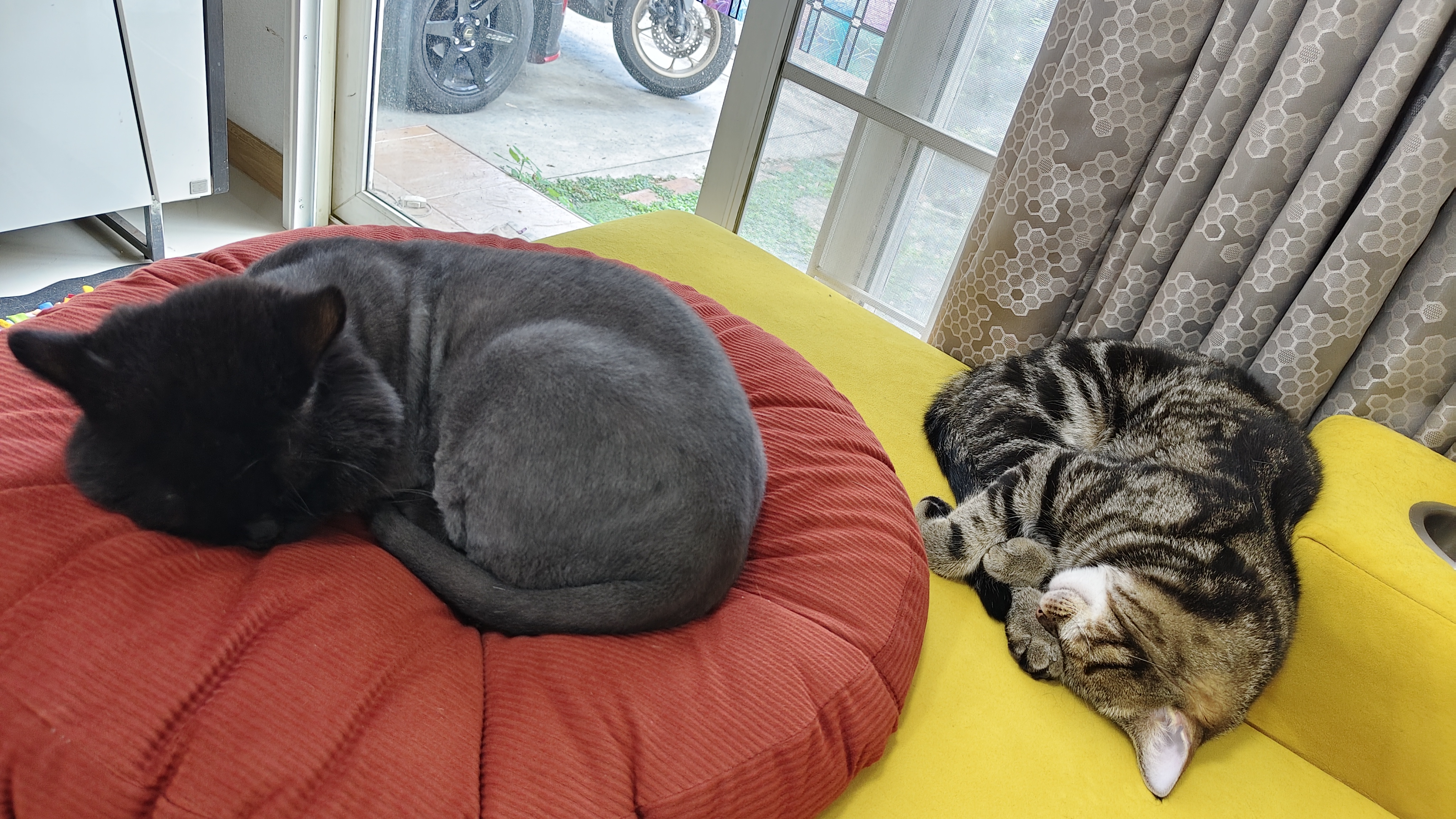 Suktawee Animal Hospital