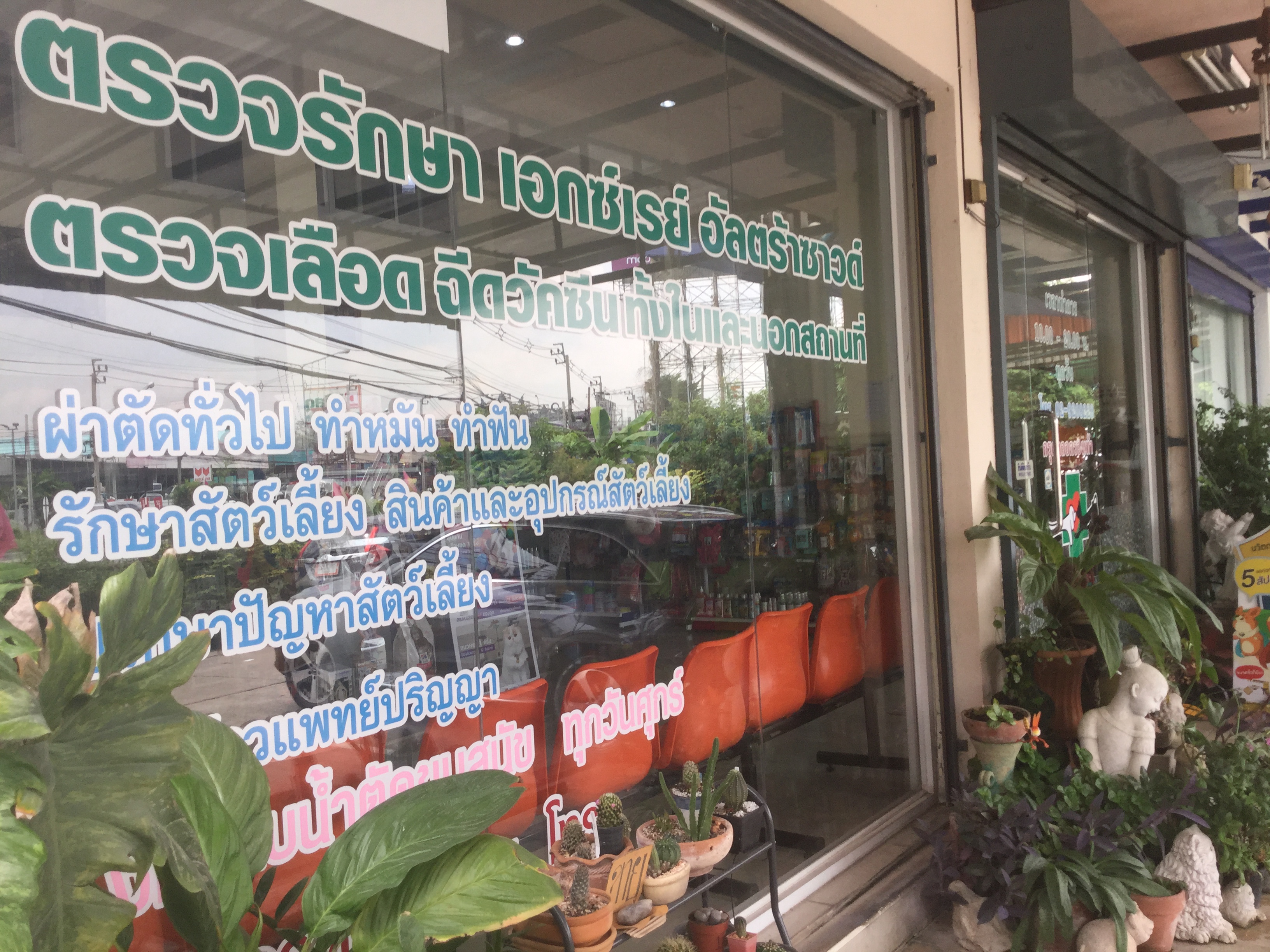 Bang Bua Thong Veterinarian