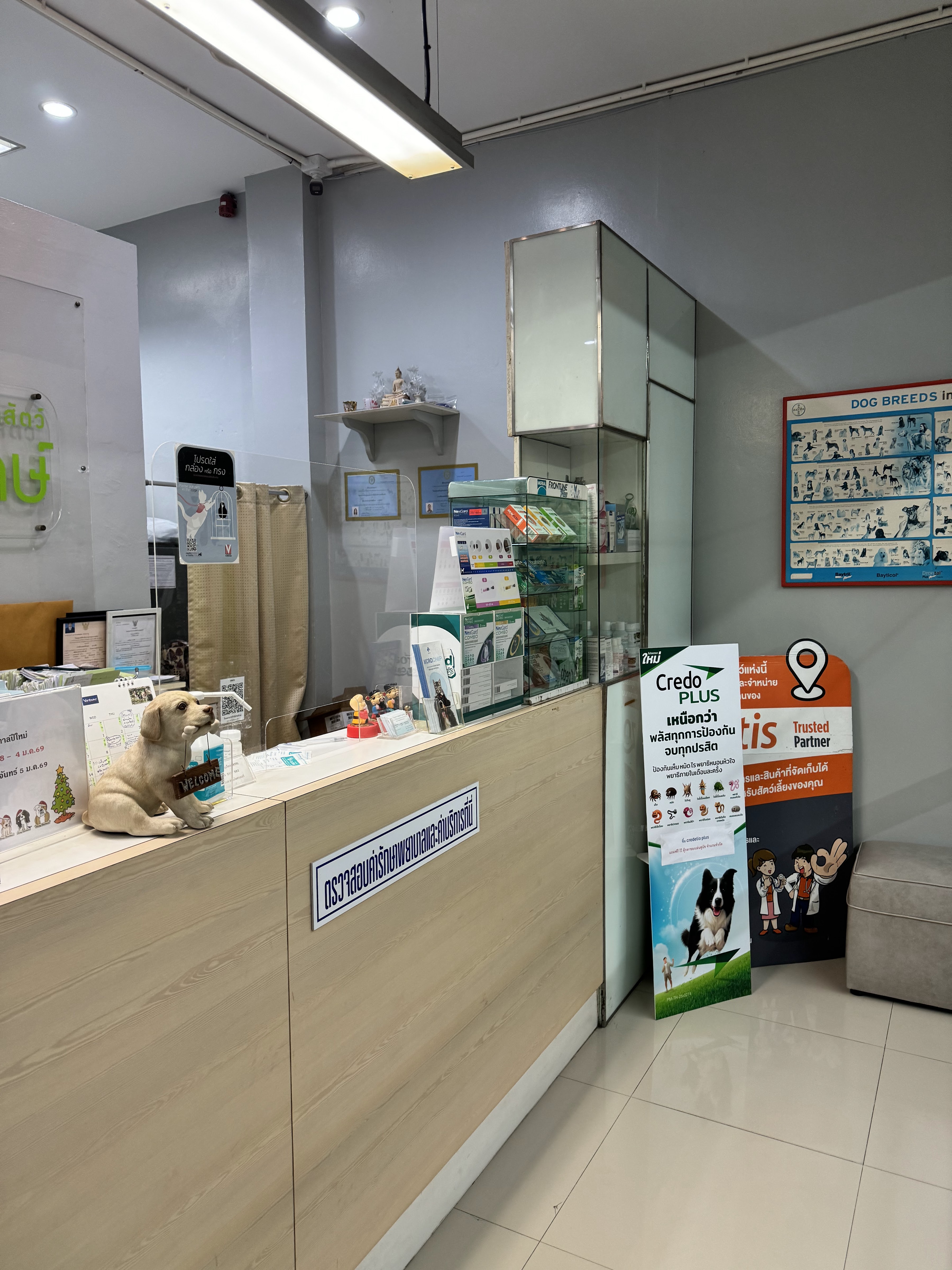 Animal Care Hospital Care