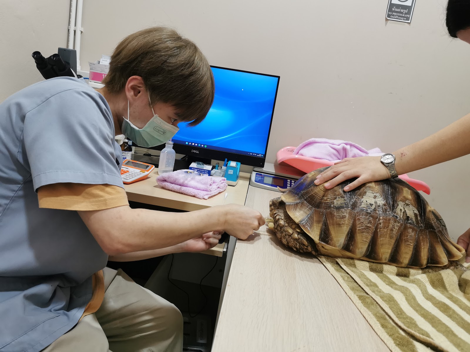 Goodwill Animal Hospital