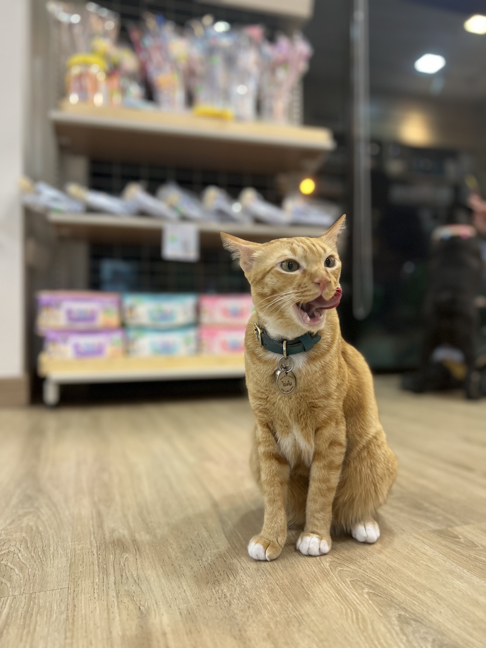 I ChudJen Animal Hospital