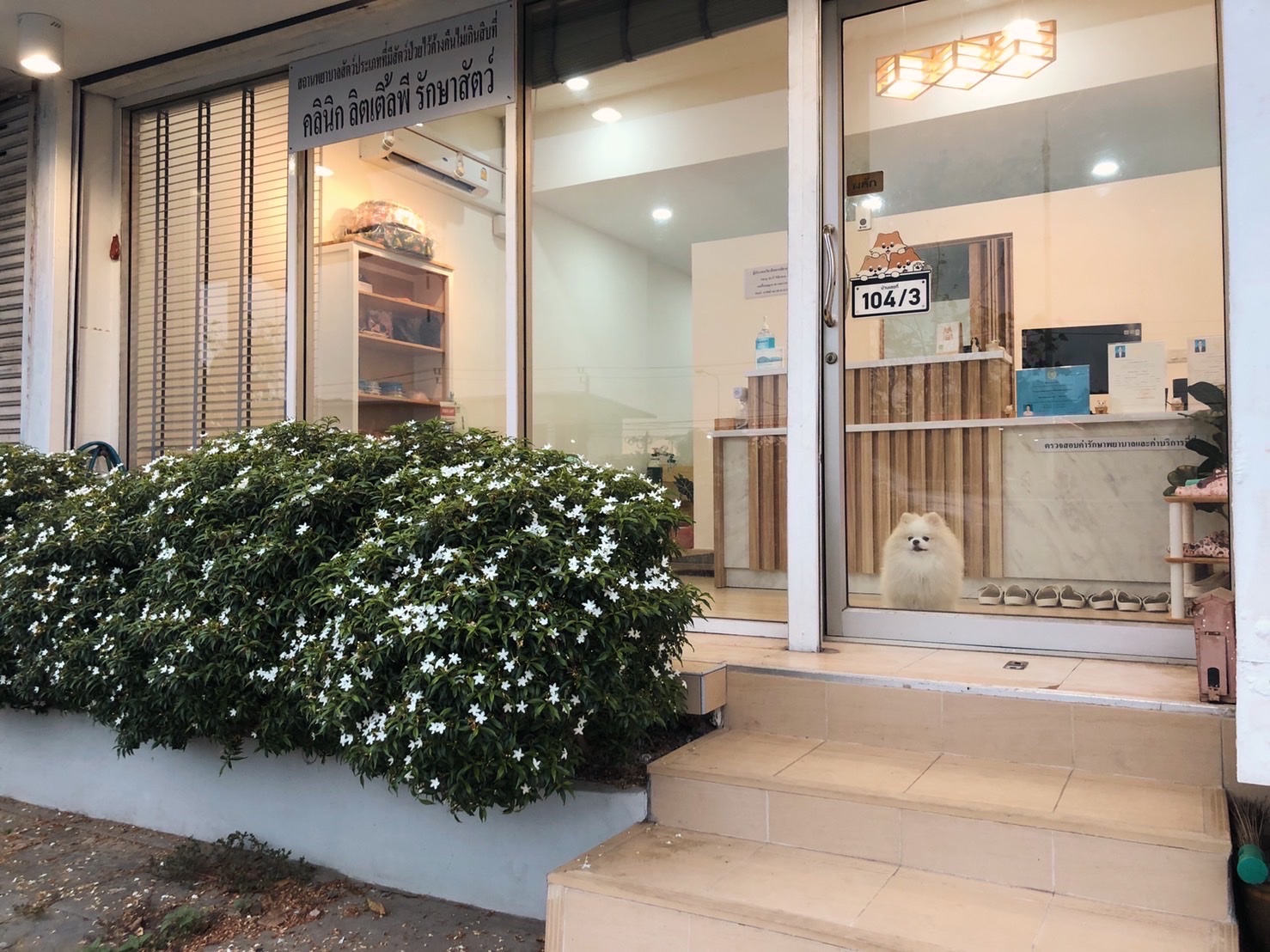 Little P. Pet Clinic