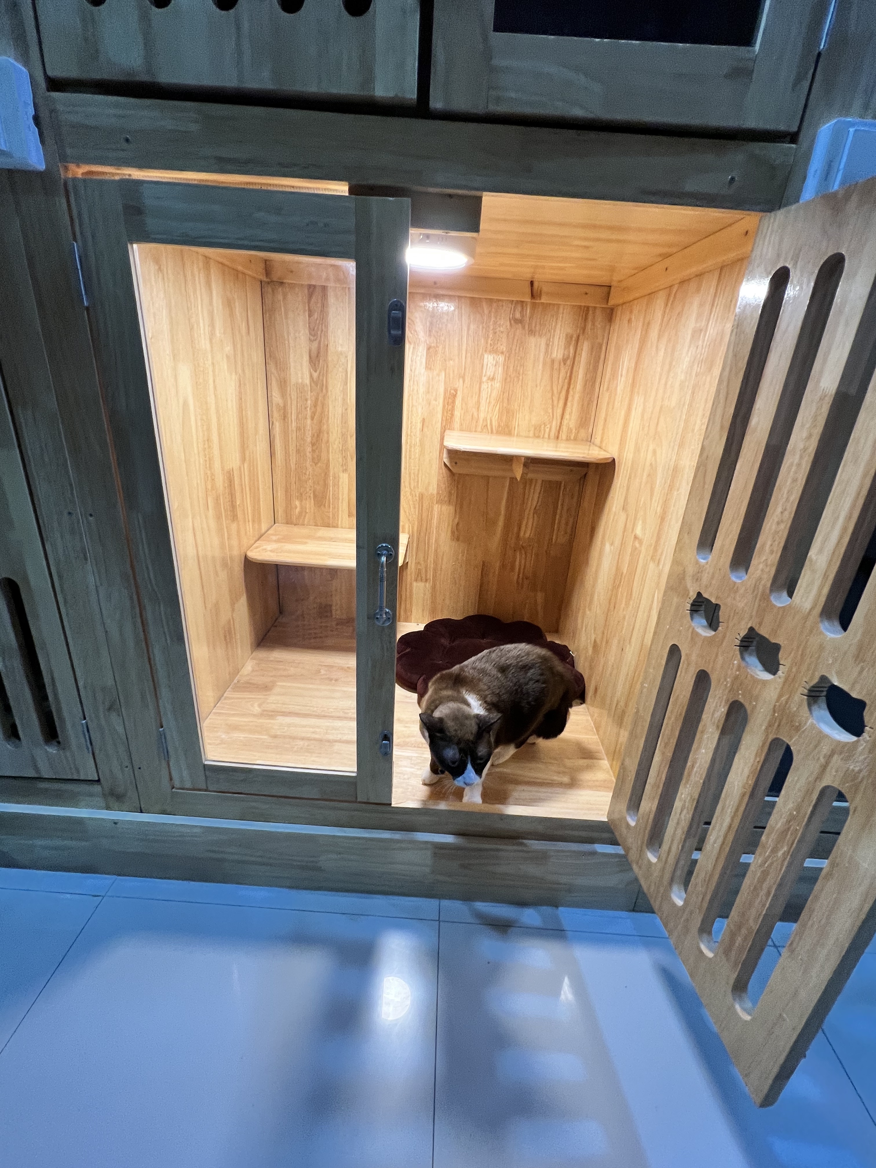LPD Cat Hotel