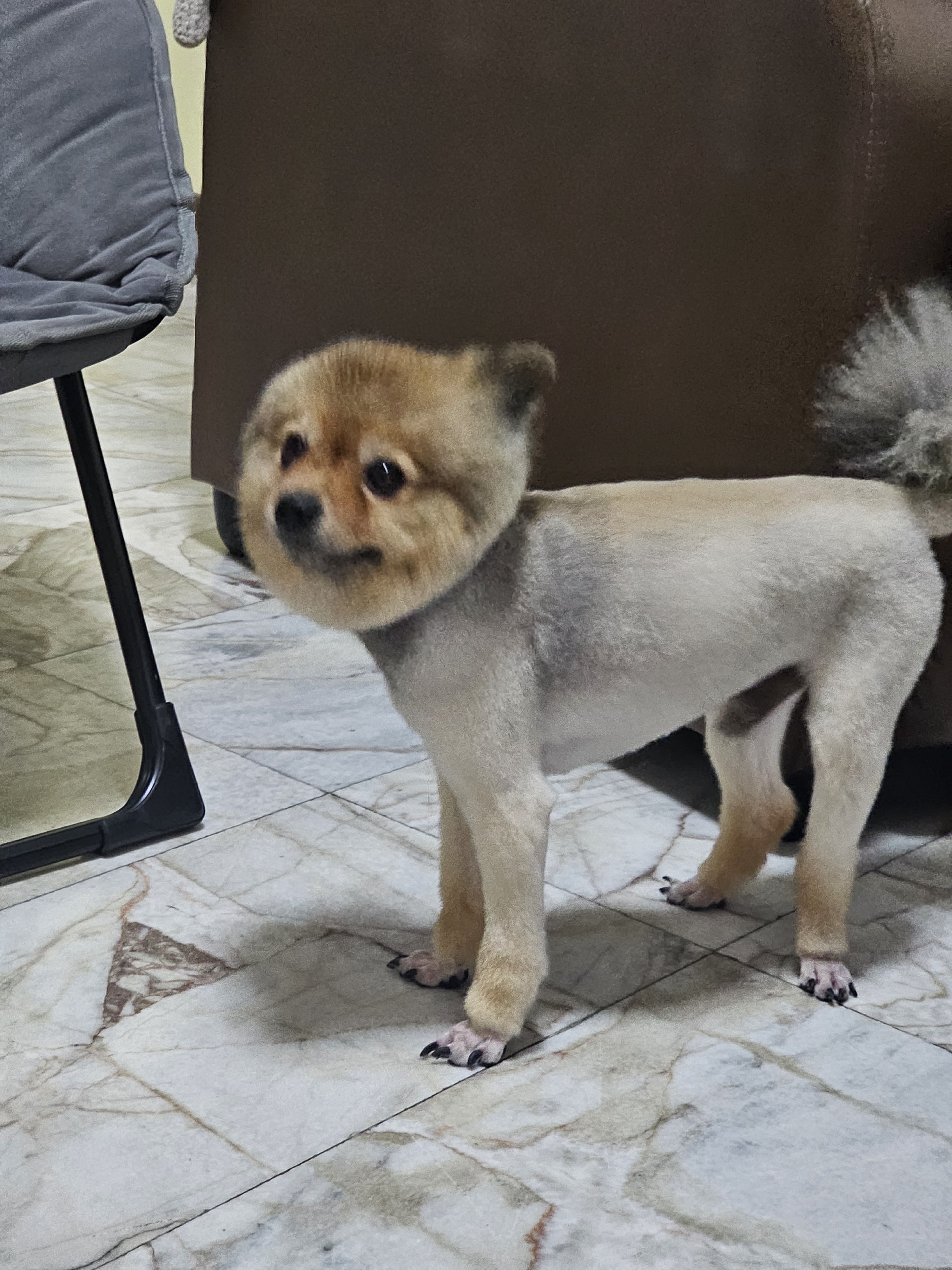 Lumpo Veterinary Clinic