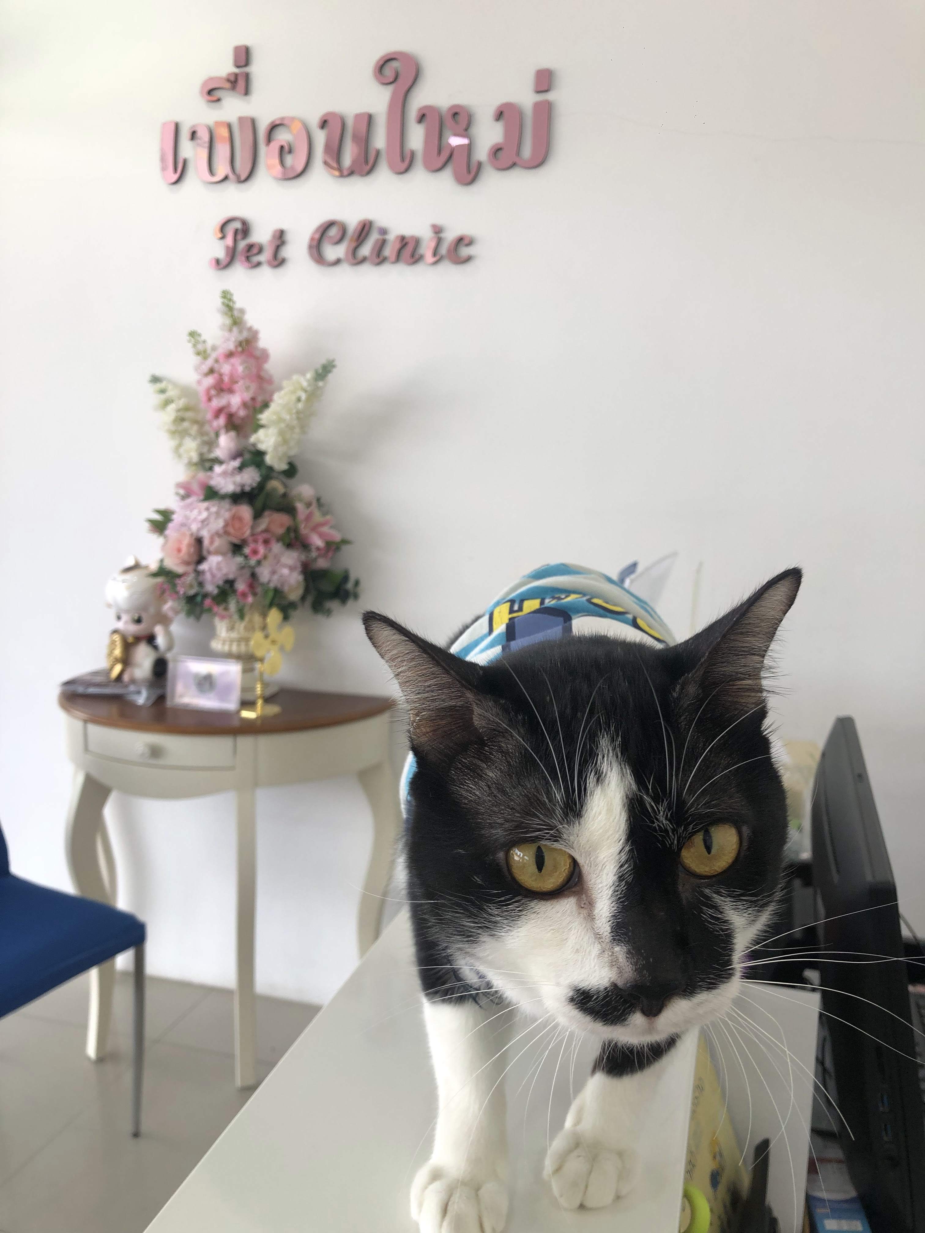 New Friends Pet Clinic