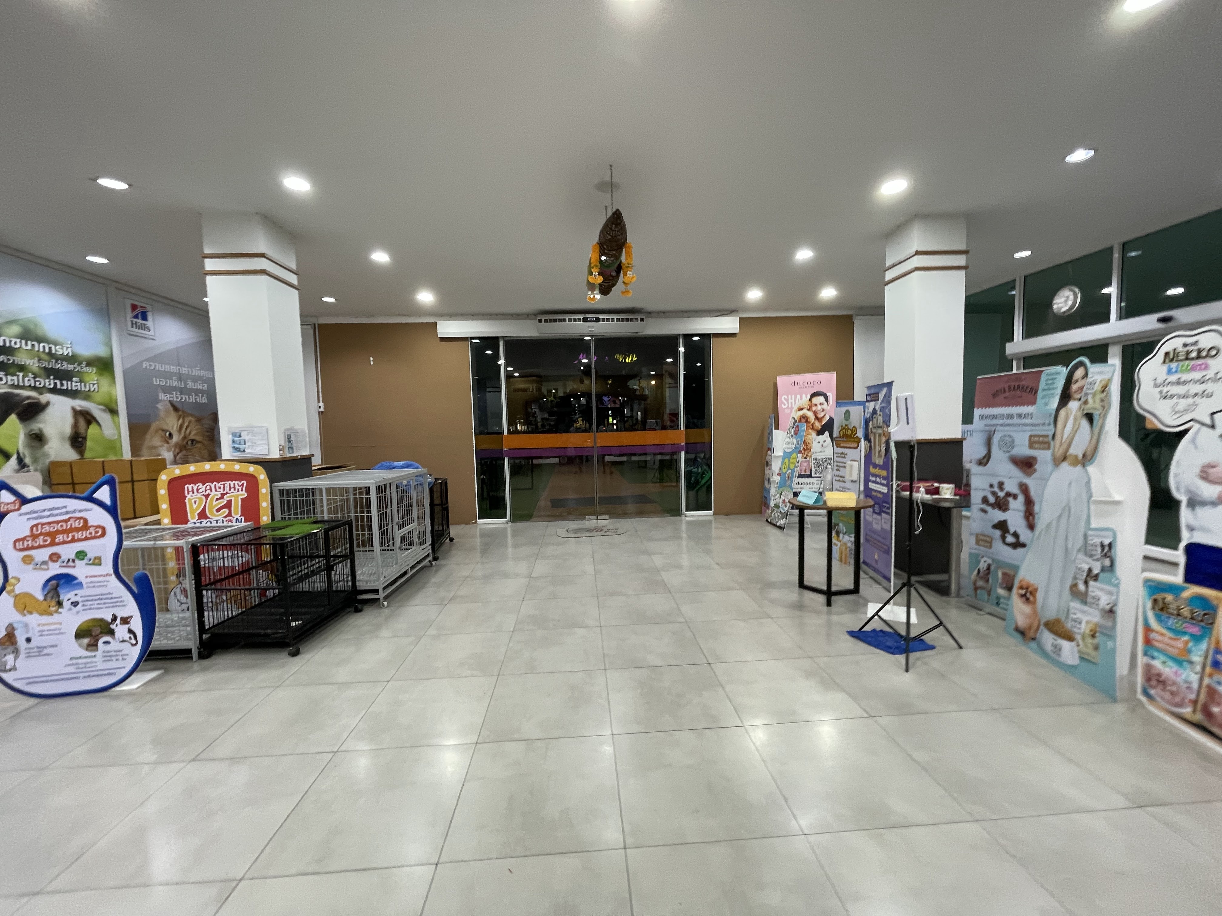 PET KINGDOM