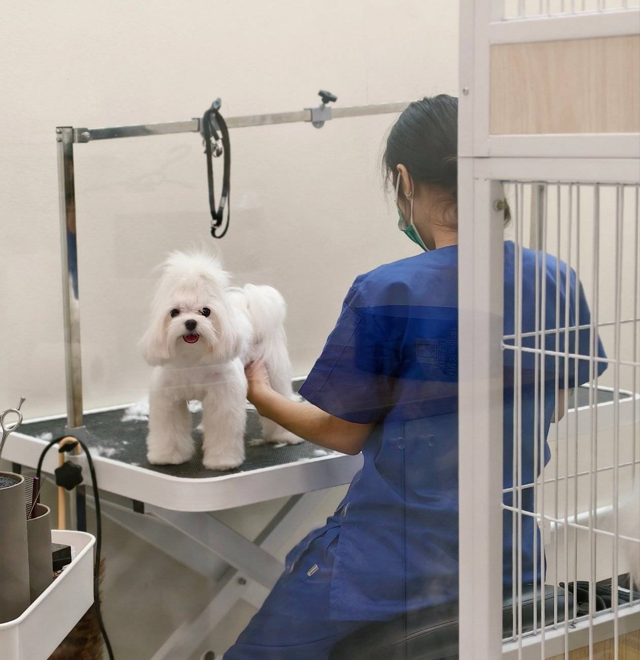 Pet Med Plus Jessada bordin
