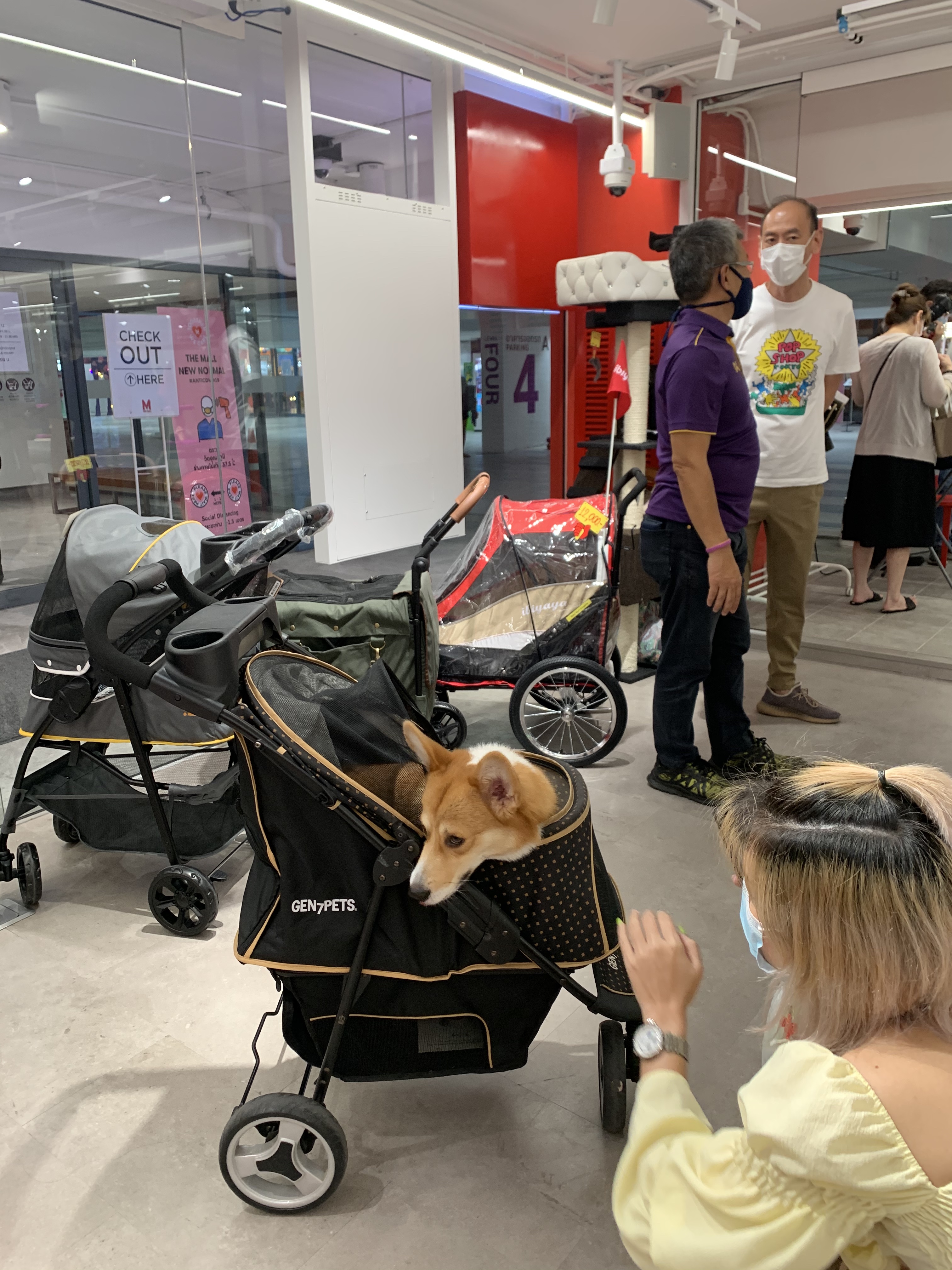PETA PET SHOP , 4 A