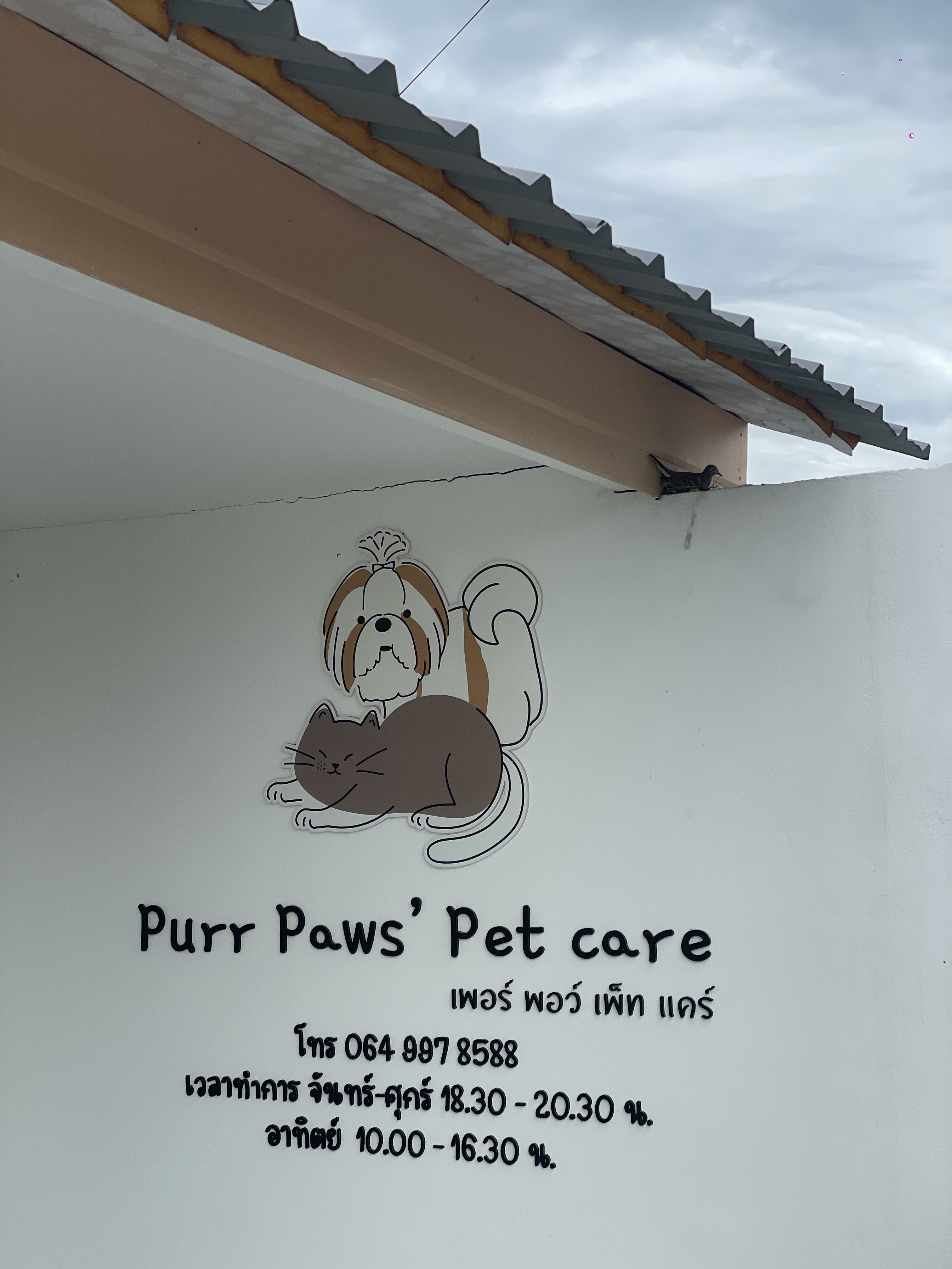Purr Paws' Pet Care