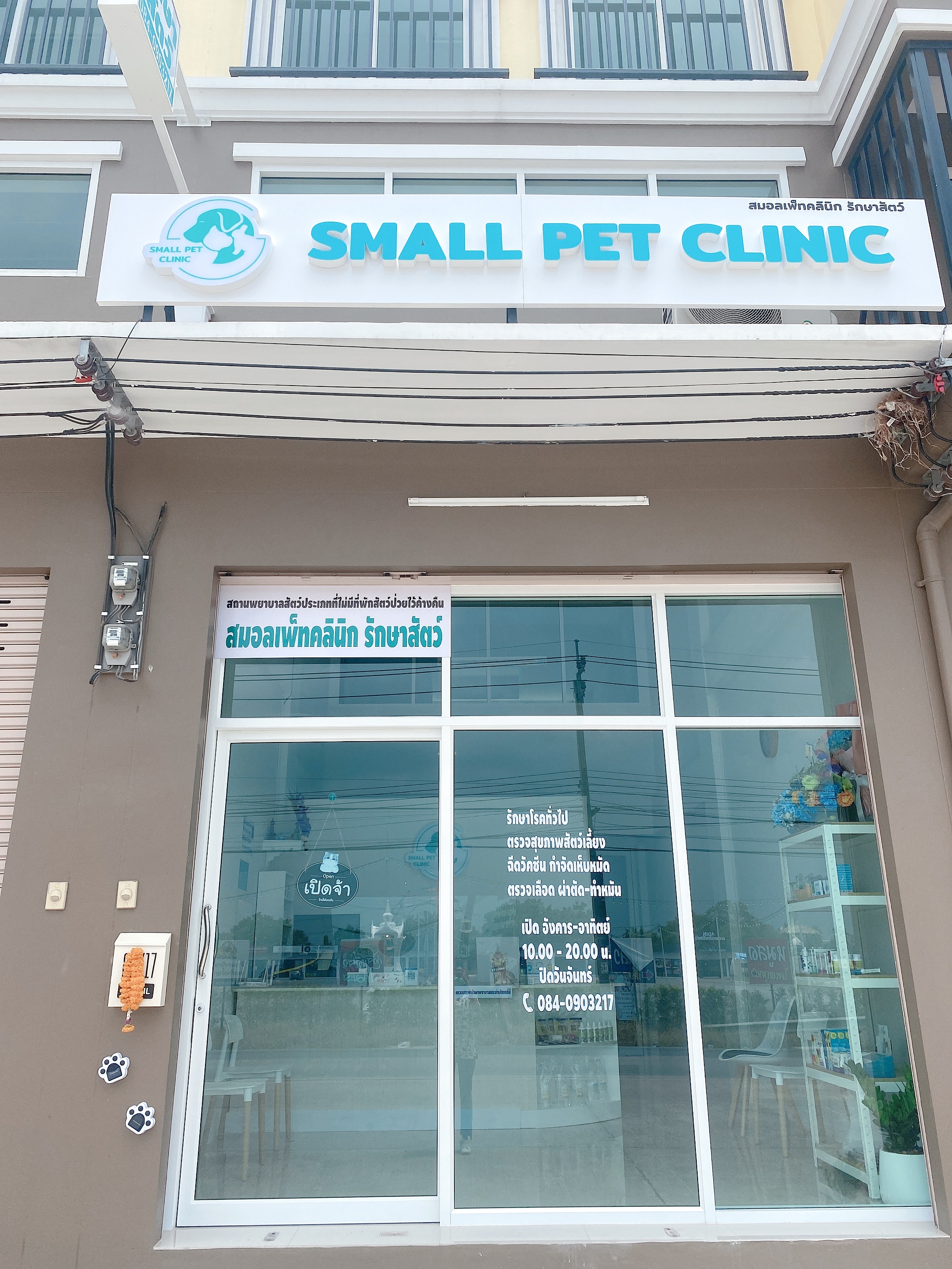 SMALL PET CLINIC