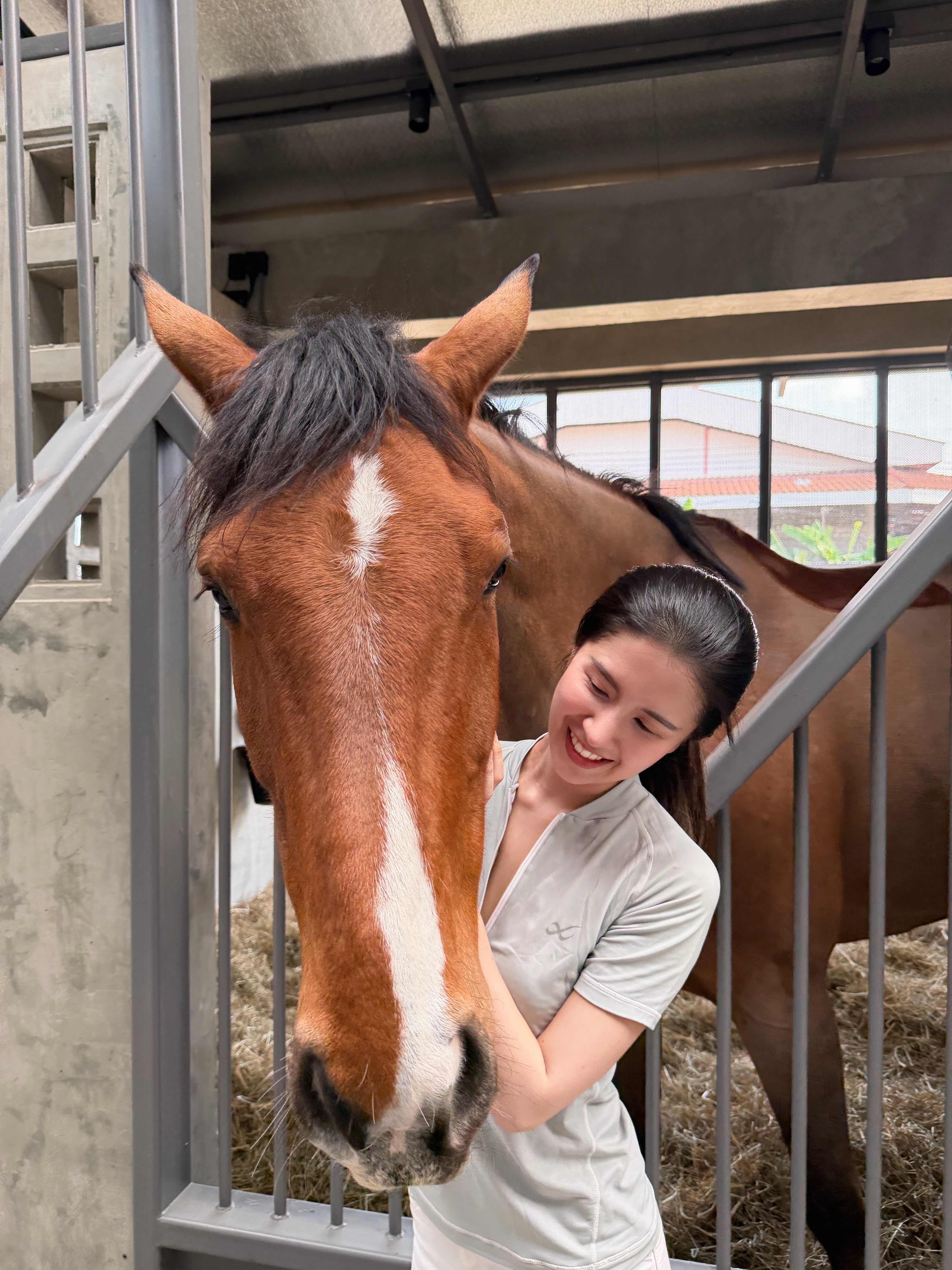 Harmonia Stables