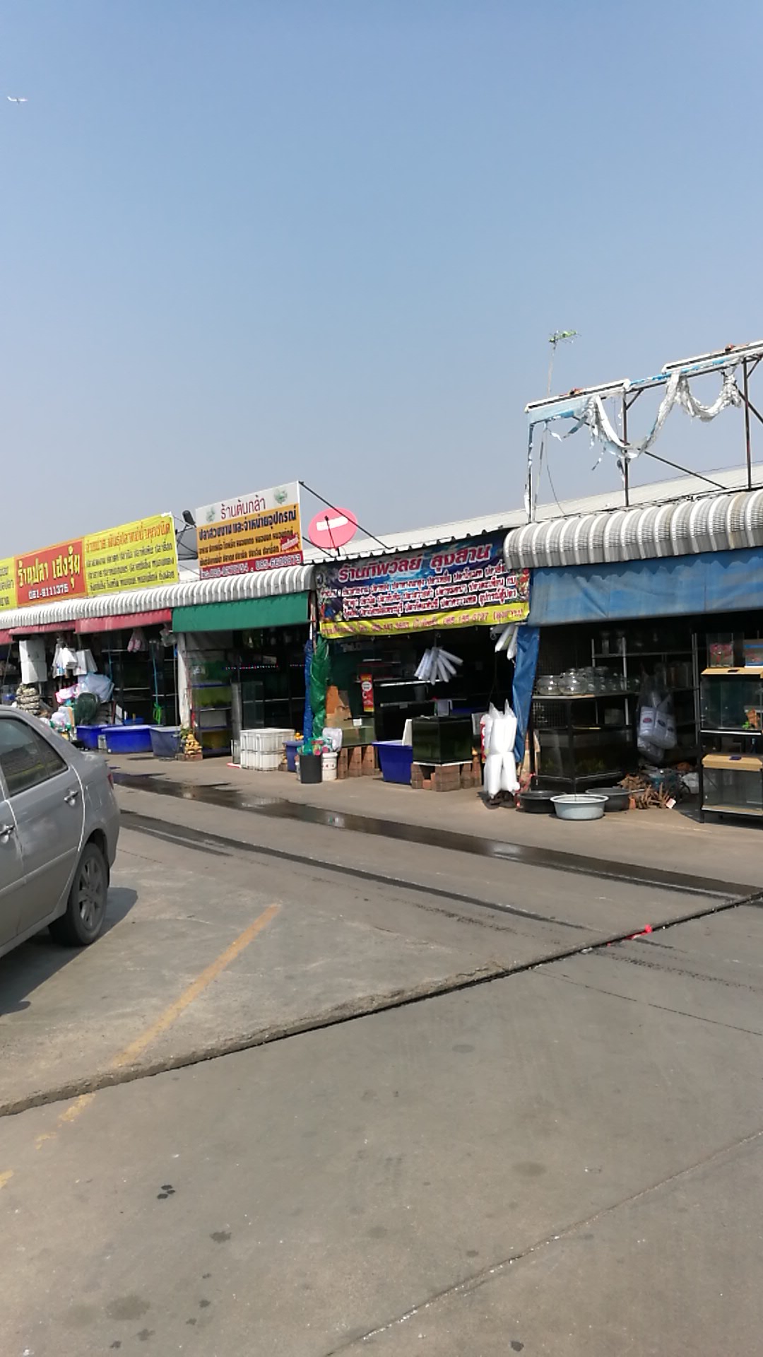 Pet Market